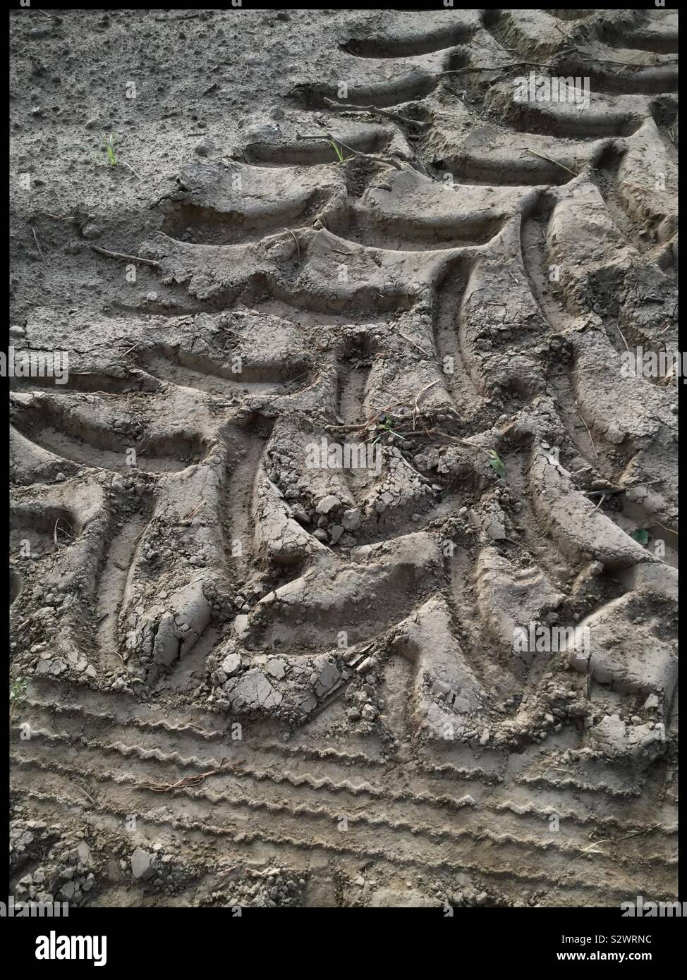 I cingoli del trattore nel suolo durante la vendemmia, la Catalogna, Spagna. Foto Stock