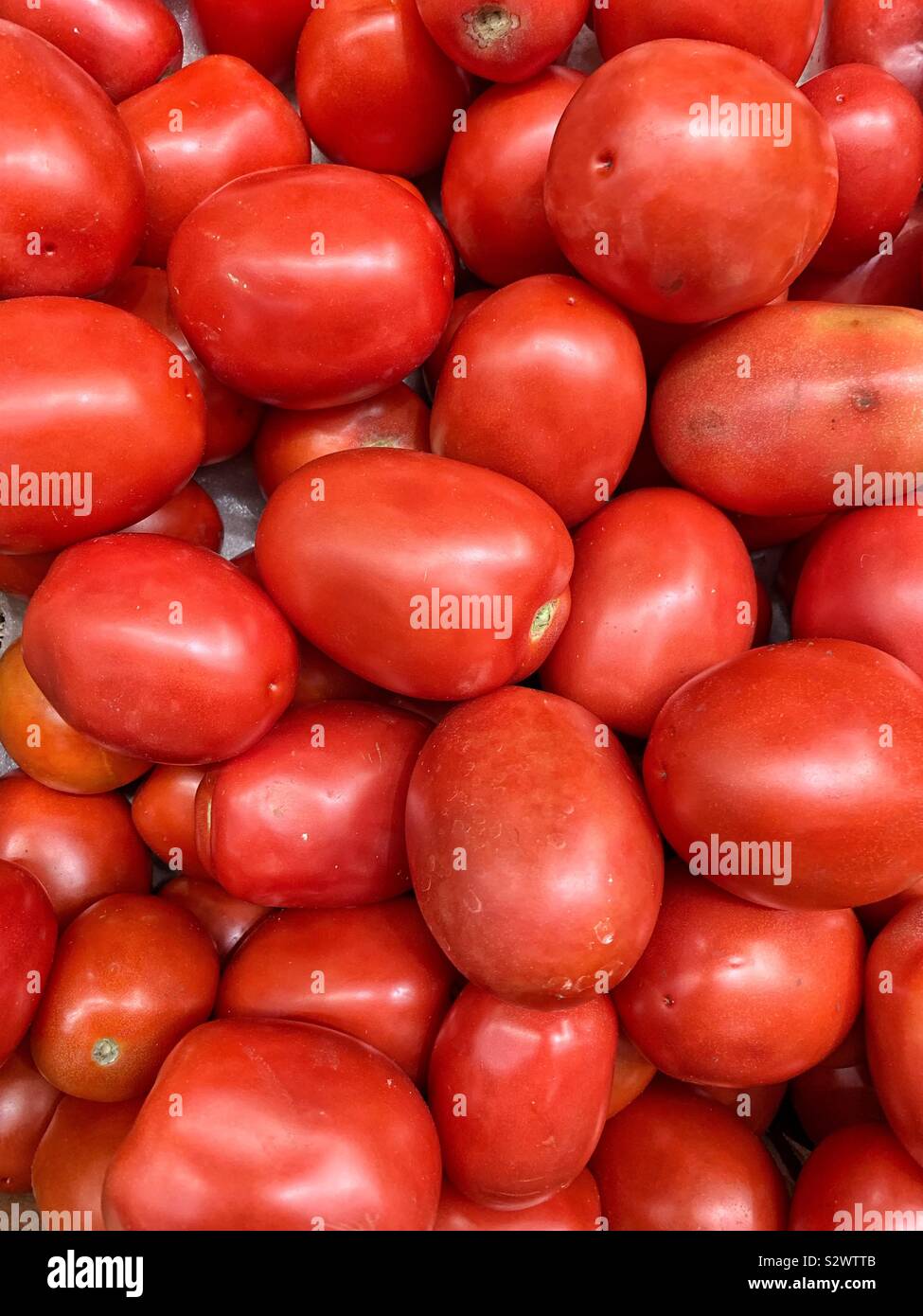 Bella ripe rosso Pomodori Pomodori. - Immagine stock catturata con smartphone