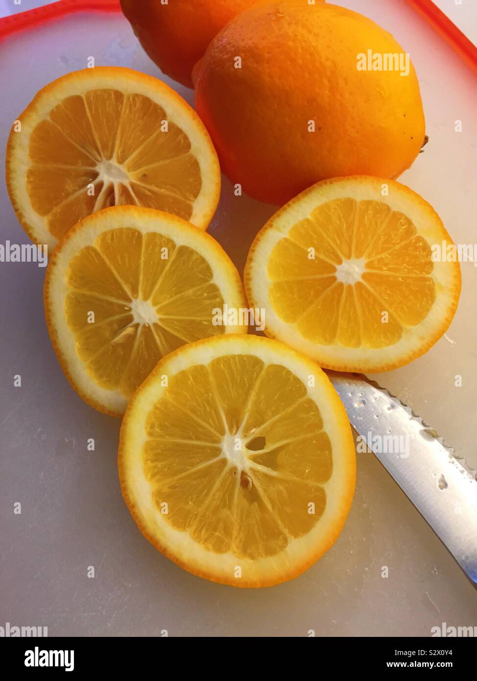 Fette di un fresco Limone Meyer su un tagliere con un coltello seghettato, STATI UNITI D'AMERICA - Immagine stock catturata con smartphone Fette di un fresco Limone Meyer su un tagliere con un coltello seghettato, STATI UNITI D'AMERICA - Immagine stock catturata con smartphone