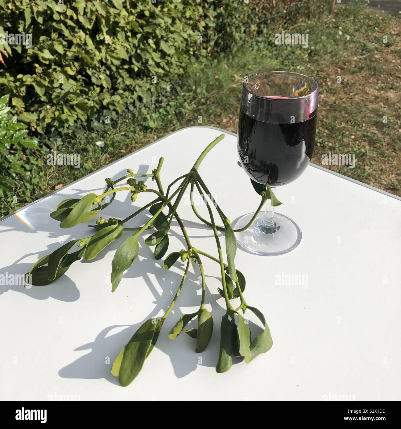 Vischio e vino Foto Stock