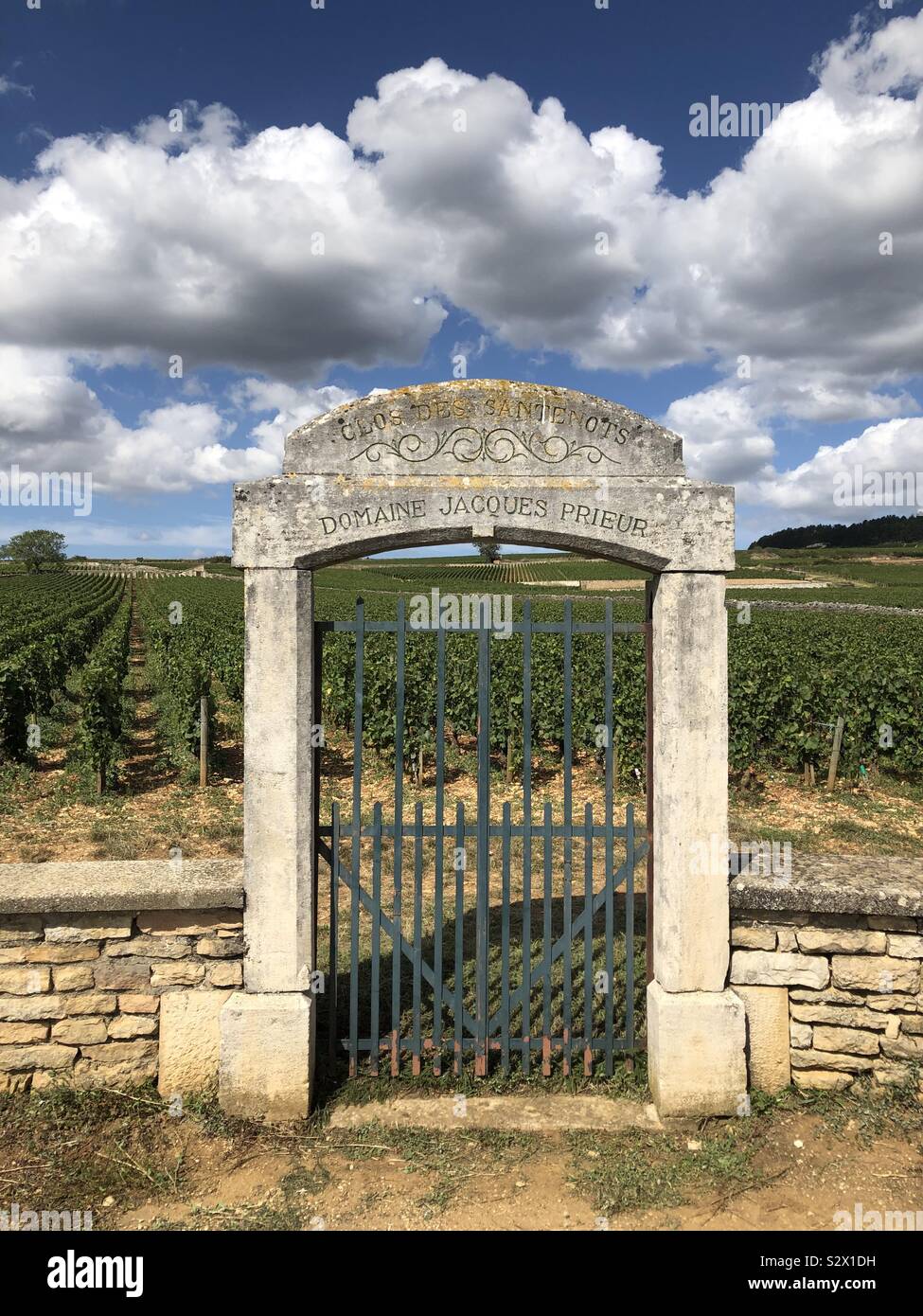 Gateway di Domaine Jacques Prieur vigneto, Beaune, Francia. Foto Stock