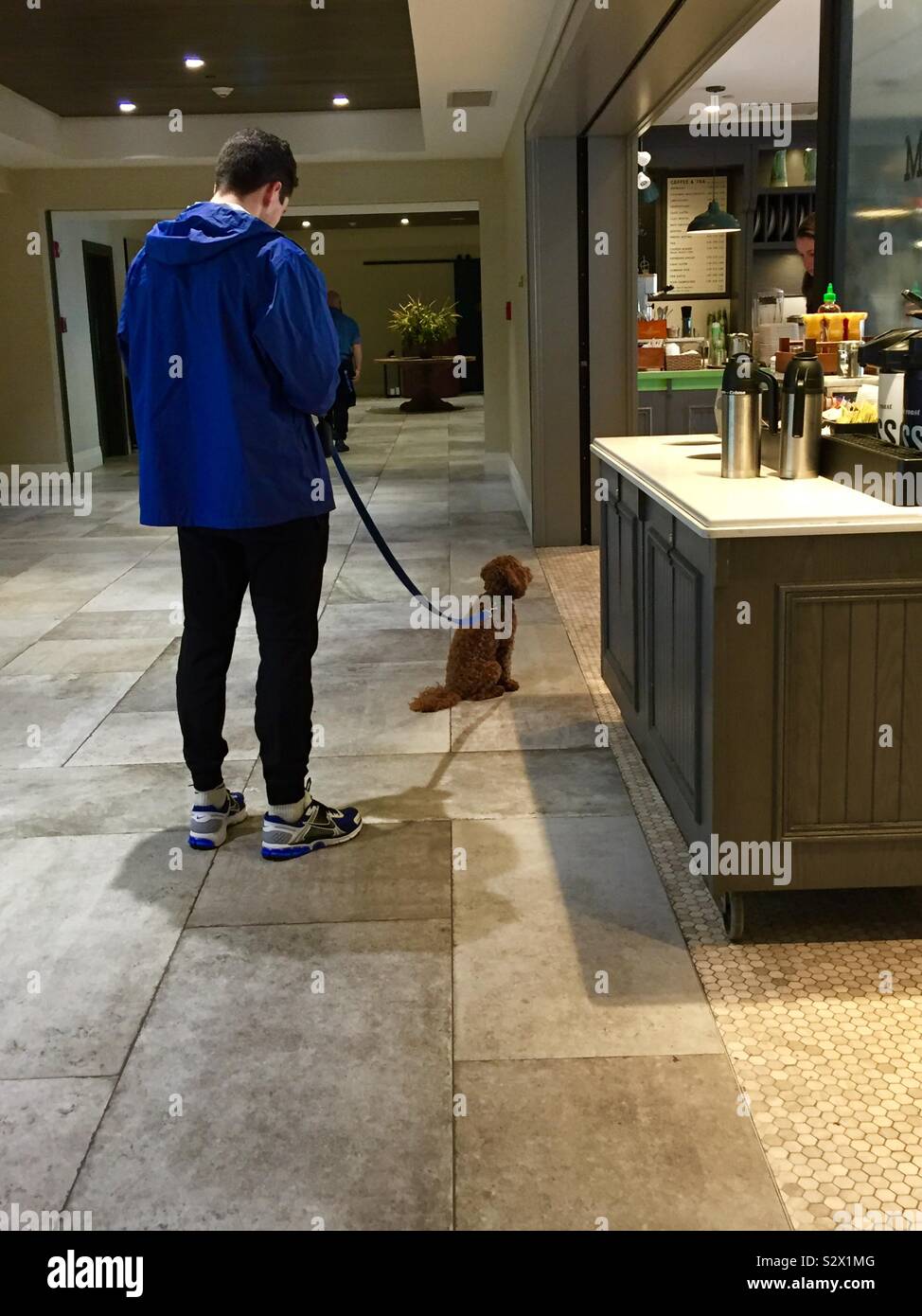 Uomo in una giacca blu, il suo cellulare e il suo cane al coffee shop - Immagine stock catturata con smartphone