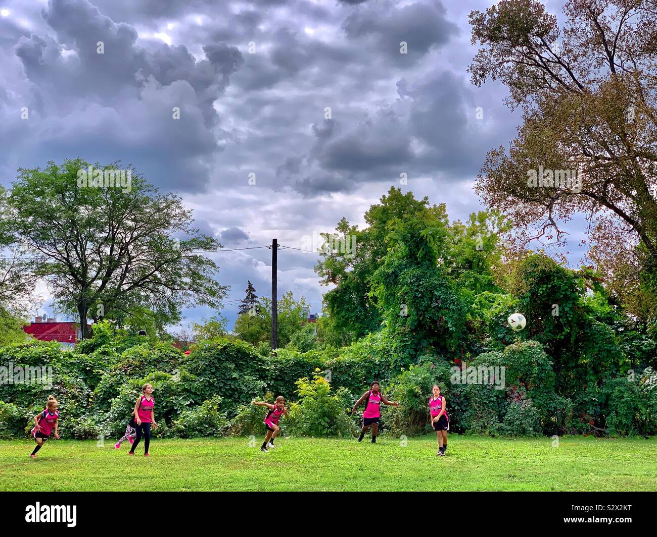 Campo - Immagine stock catturata con smartphone