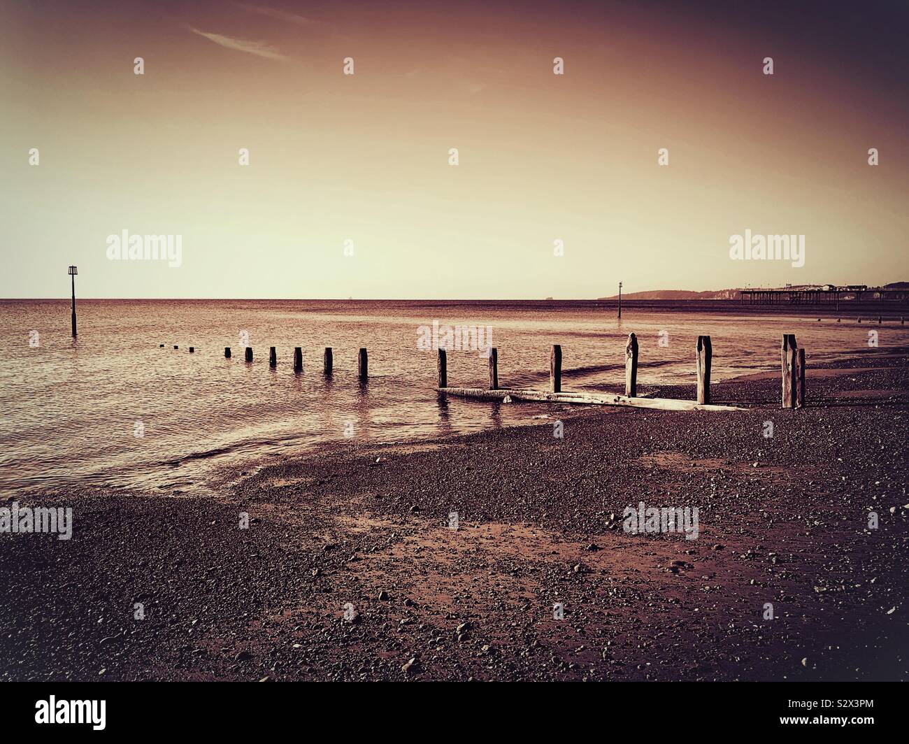 Spiaggia di seppia Foto Stock