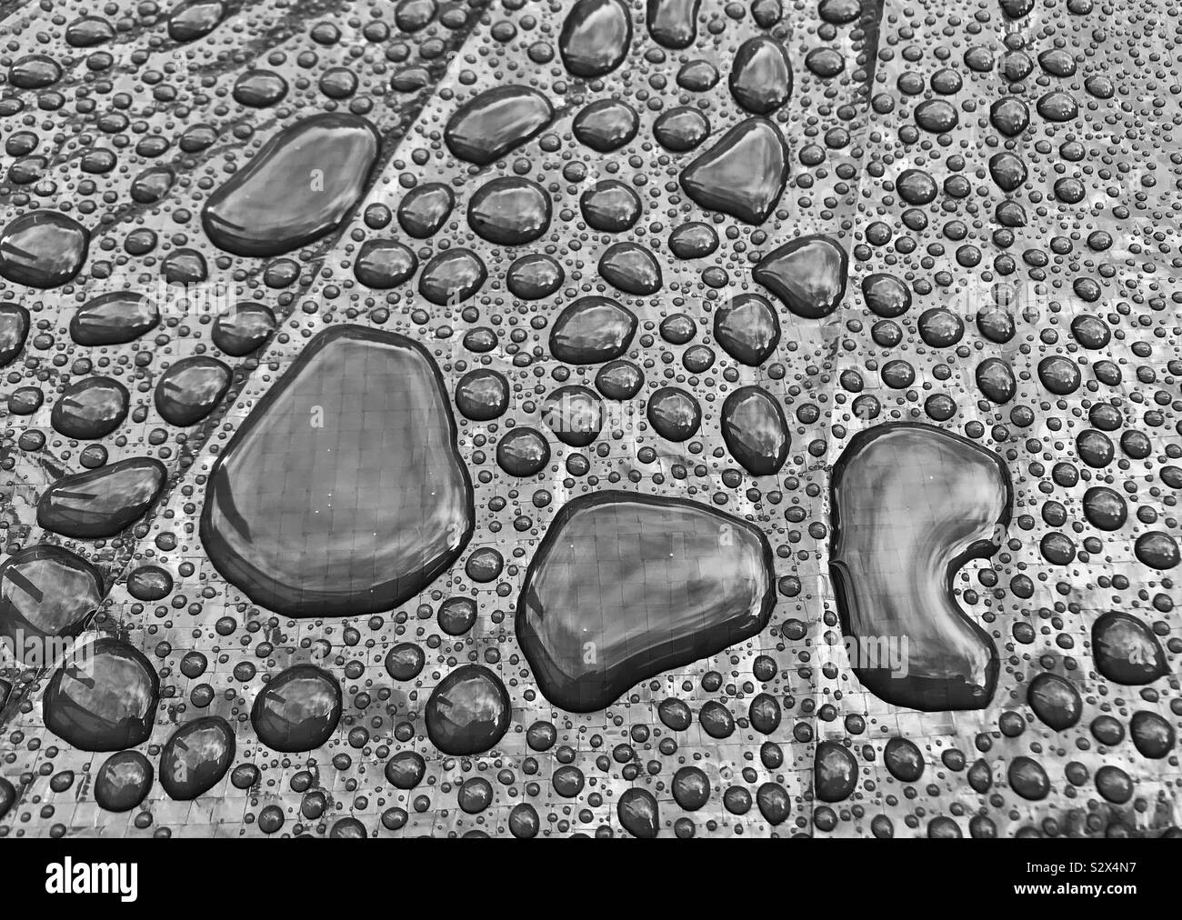 Globuli di acqua su una superficie lucida dopo un pesante doccia di pioggia Foto Stock