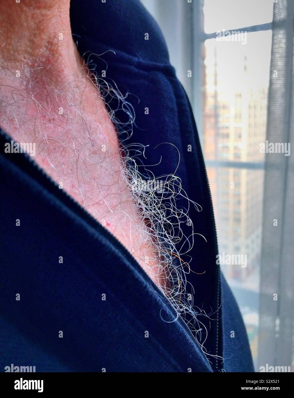 Close up di un uomo maturo hairy torace, STATI UNITI D'AMERICA Foto Stock