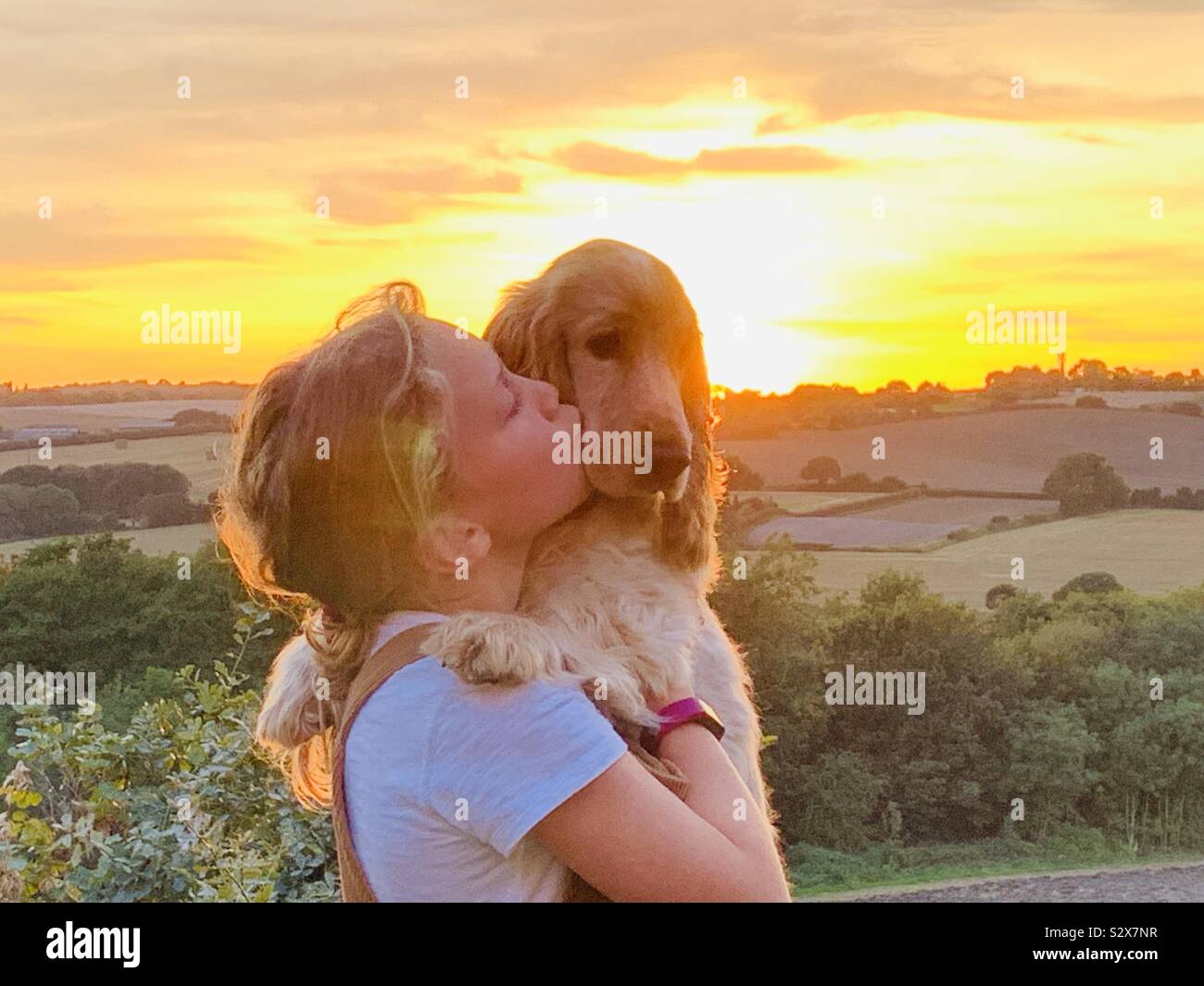 Molto amato cucciolo al tramonto. Foto Stock
