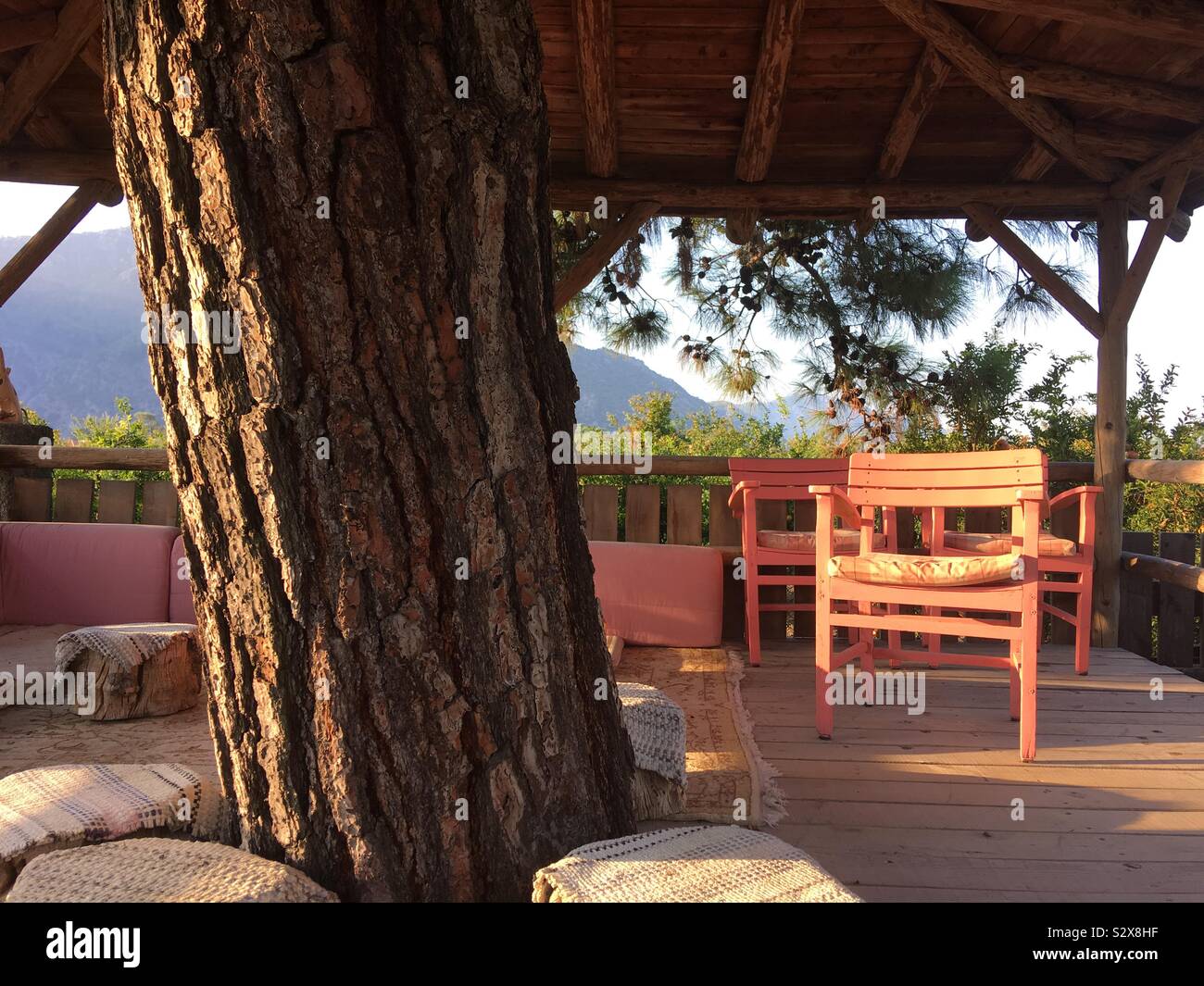 Meditazione del mattino nella Treehouse: il relax nella natura. Foto Stock