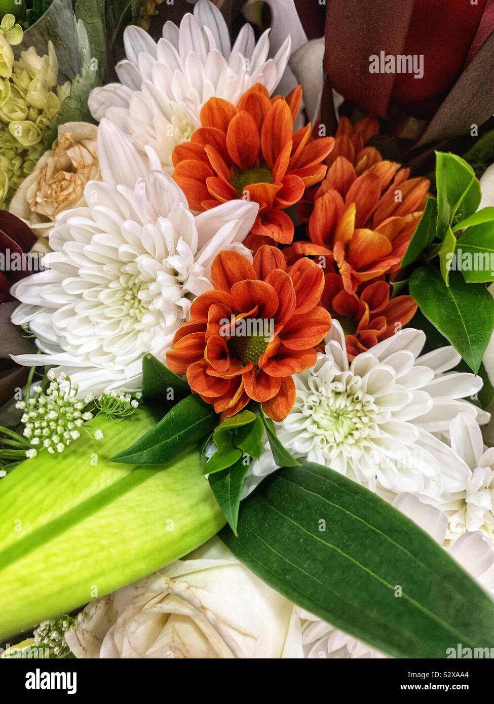 Bouquet di freschi Fiori di caduta. Foto Stock