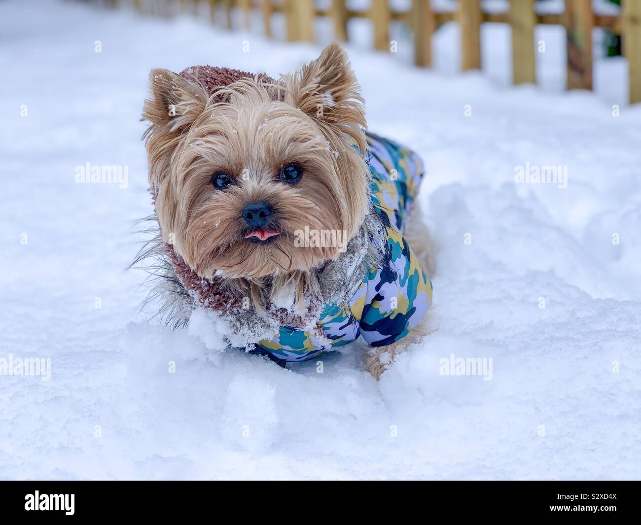 Giornate fredde Foto Stock