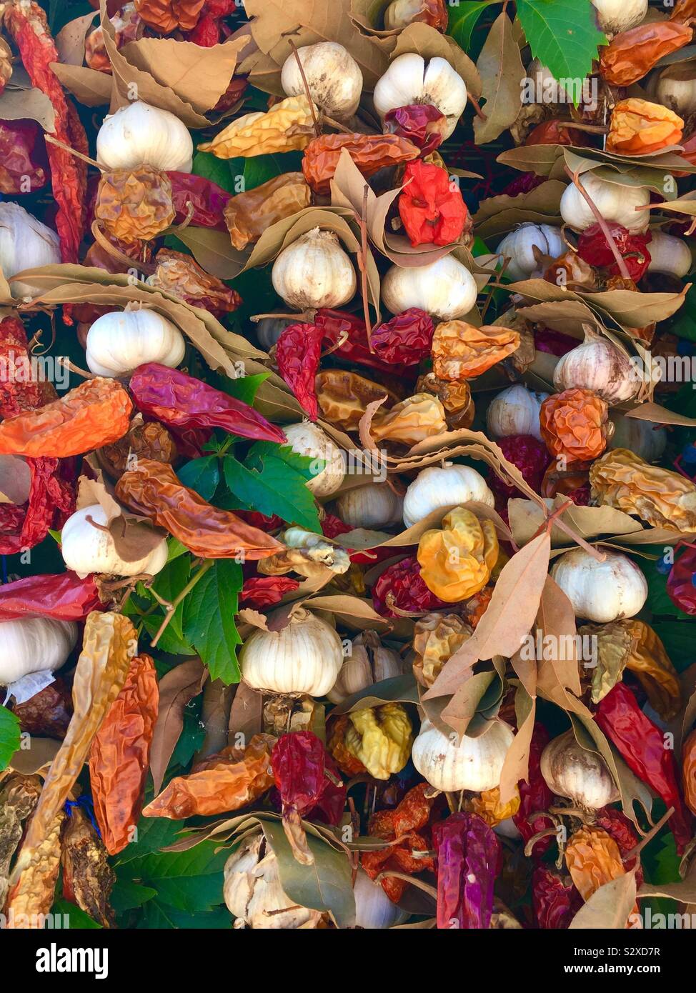 Essiccato l'aglio peperoni e foglie di alloro appesa al mercato in stallo Foto Stock