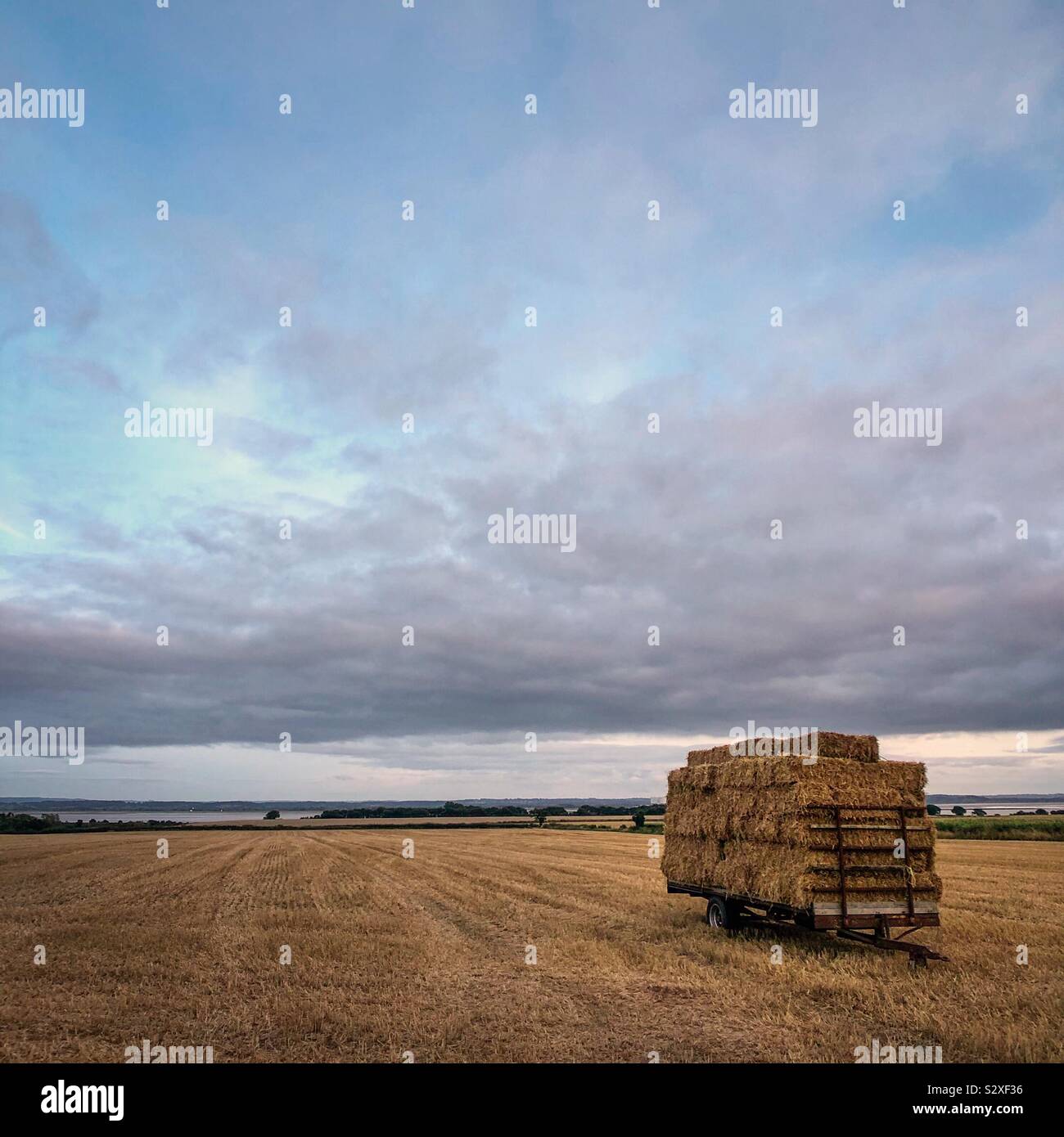 Hay wain alla luce della sera. Foto Stock