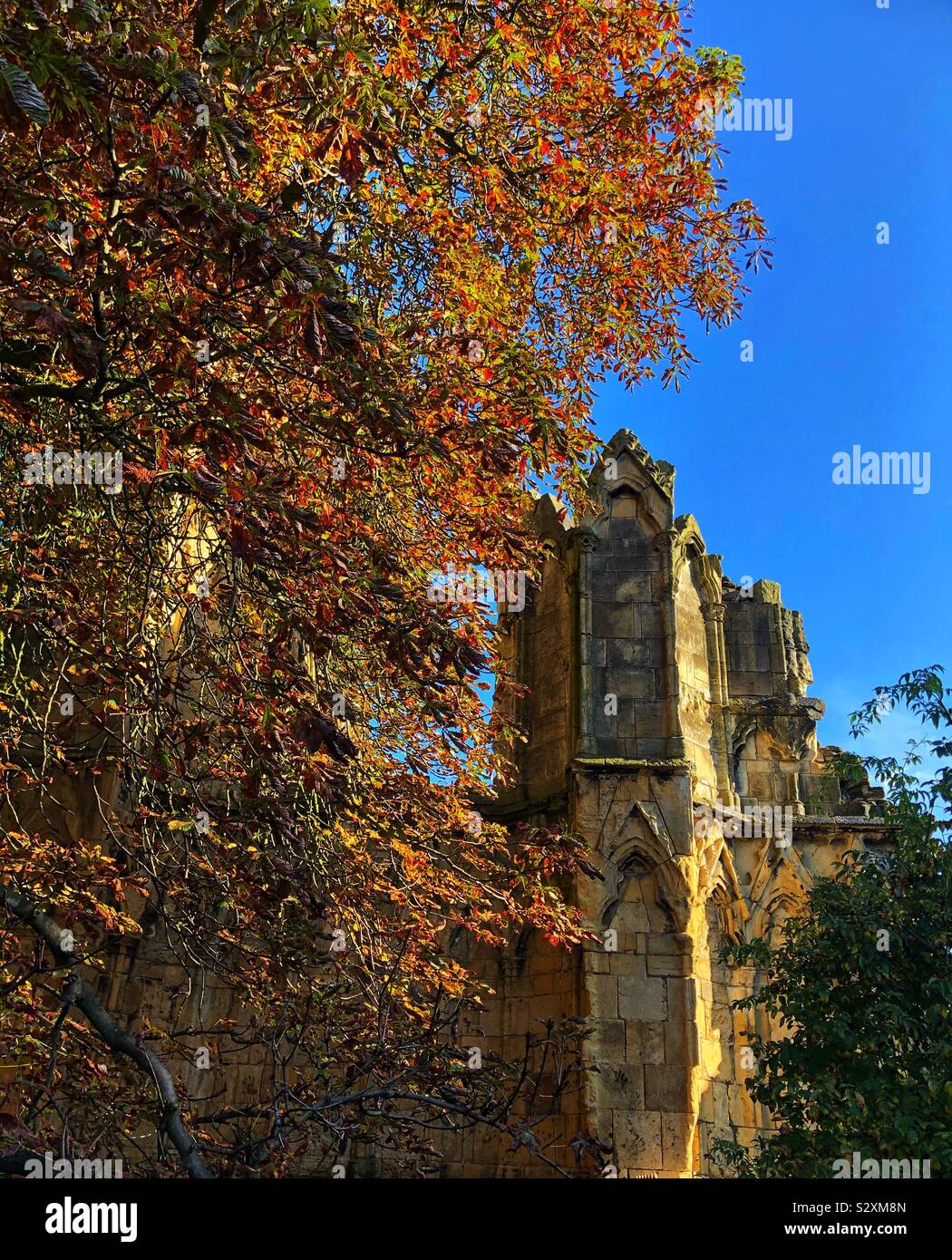 Giardini del museo di York adagiato tra le rovine dell'Abbazia di St. Mary, York, North Yorkshire, Inghilterra Foto Stock