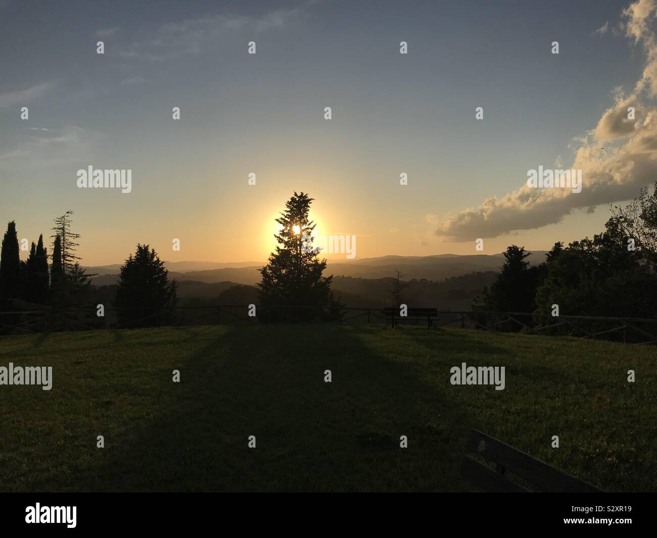 Regolazione del sole che splende attraverso un albero di pino Foto Stock
