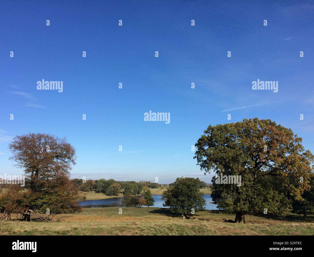 Il Parco in autunno Foto Stock