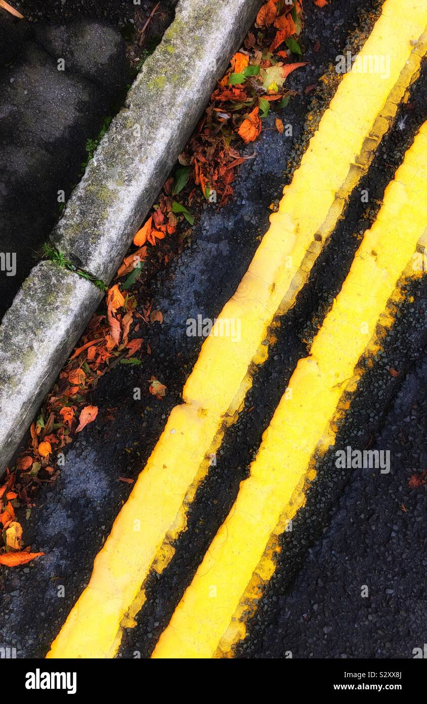 Doppie linee di colore giallo con foglie di autunno nella gronda. Foto Stock