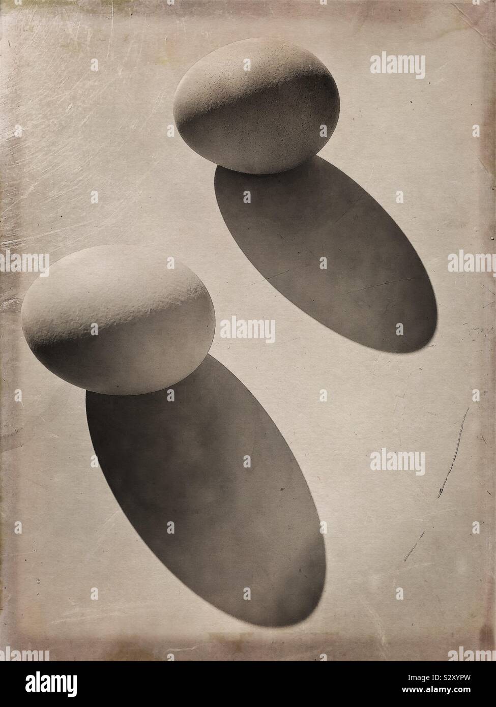 Ancora vita immagine di due uova con forte ombra Foto Stock