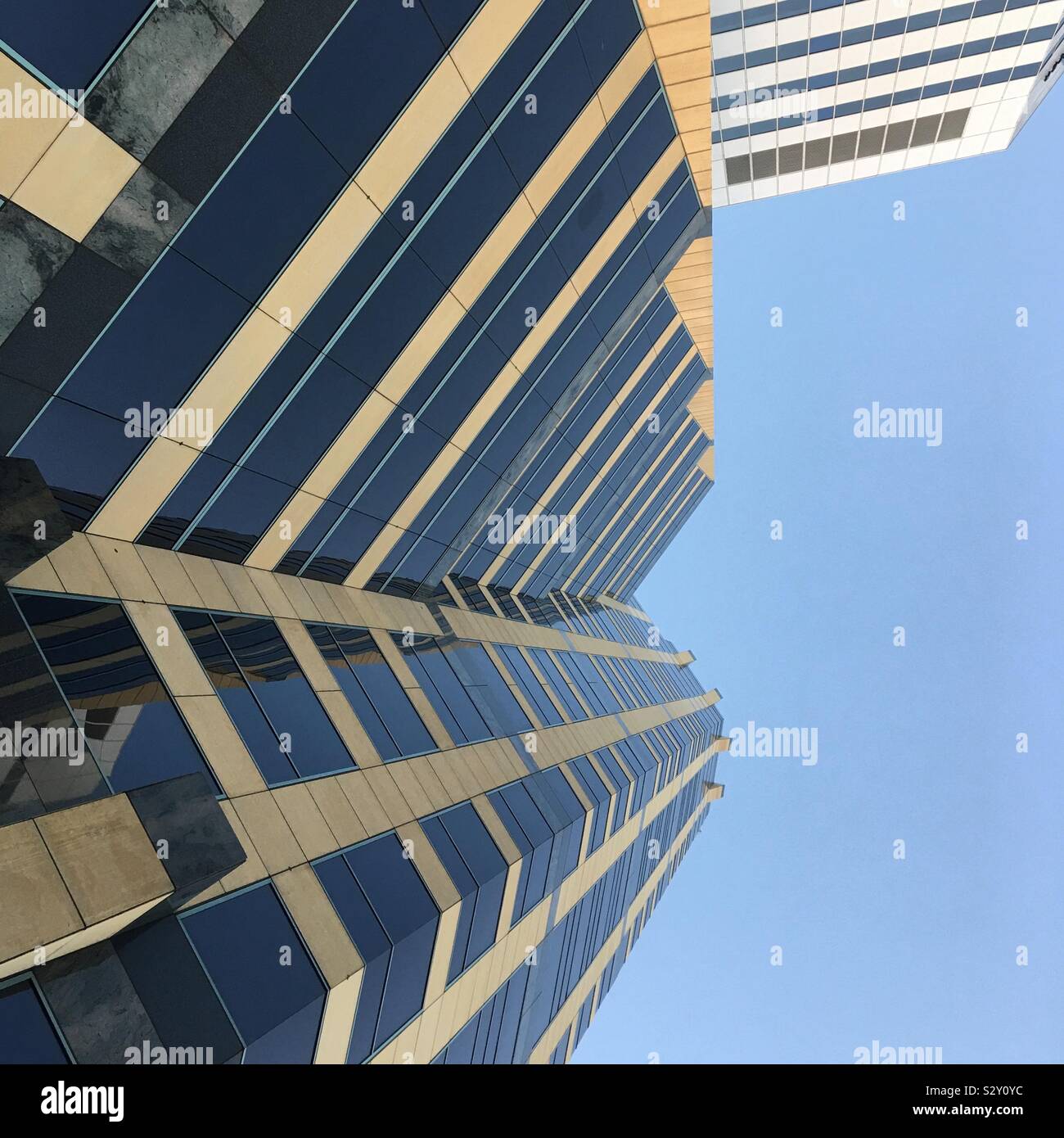 LOS ANGELES, CA, Settembre 2019: Guardando fino ad alti edifici adibiti ad uffici con cielo blu dietro, Wilshire Blvd in area di Westwood Foto Stock