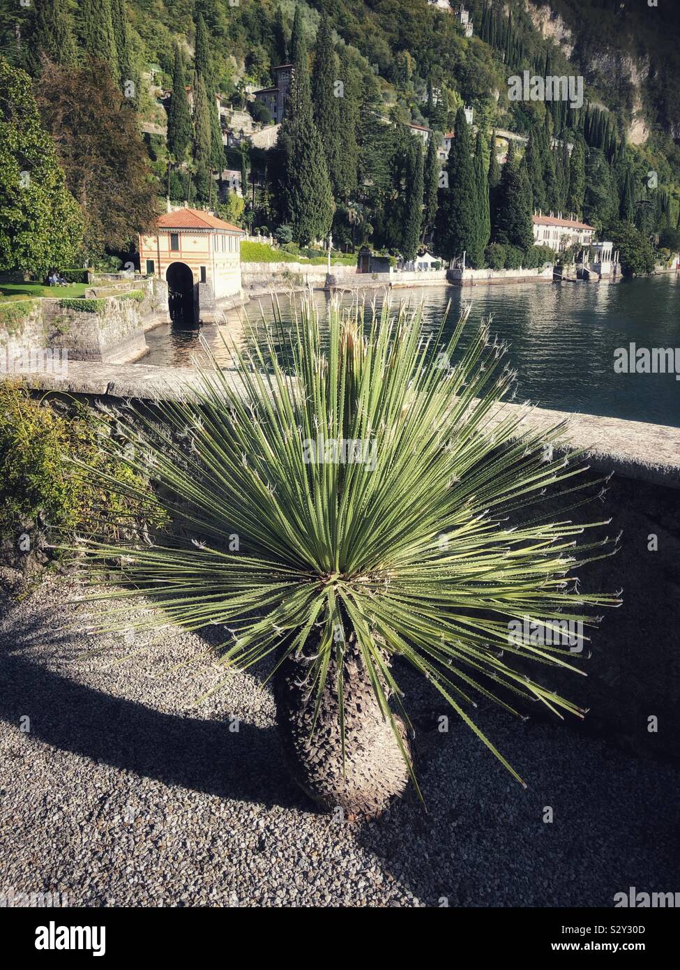 Villa Cipressi Orto Botanico, Varenna vicino al lago di como, Italia Foto Stock