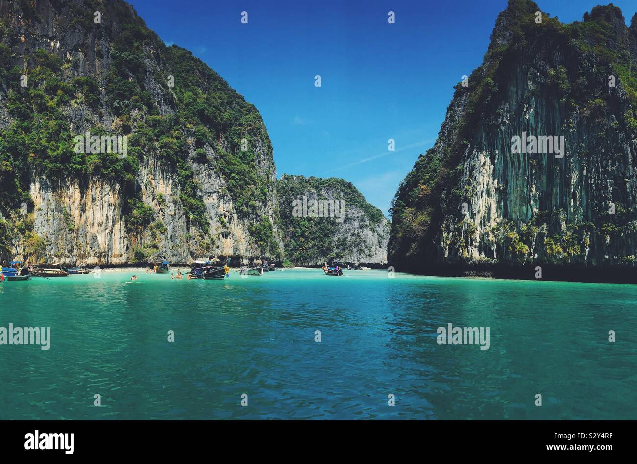 Le splendide isole di Maya Bay, Thailandia Foto Stock