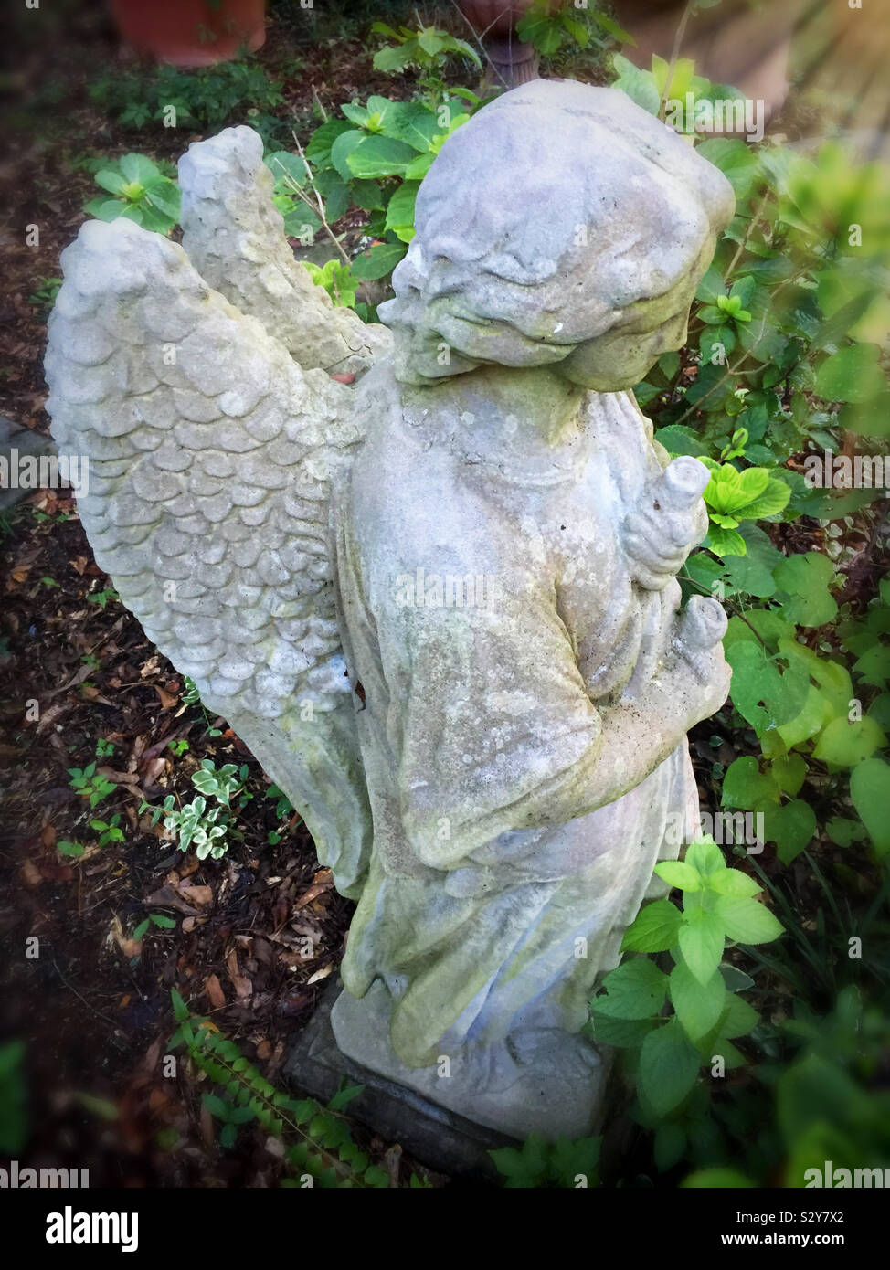 Un angolo alto colpo di un cemento angelo con ali statua è di guardia su un giardino sul retro. Foto Stock