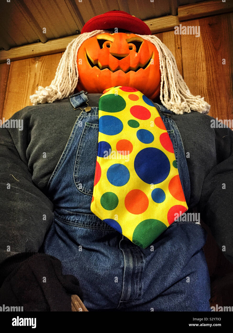 Halloween spaventapasseri con un sorridente scolpito testa di zucca e uno spazzolone per i suoi capelli. Egli è costretto ad indossare tute e ha una polka dot cravatta. Foto Stock