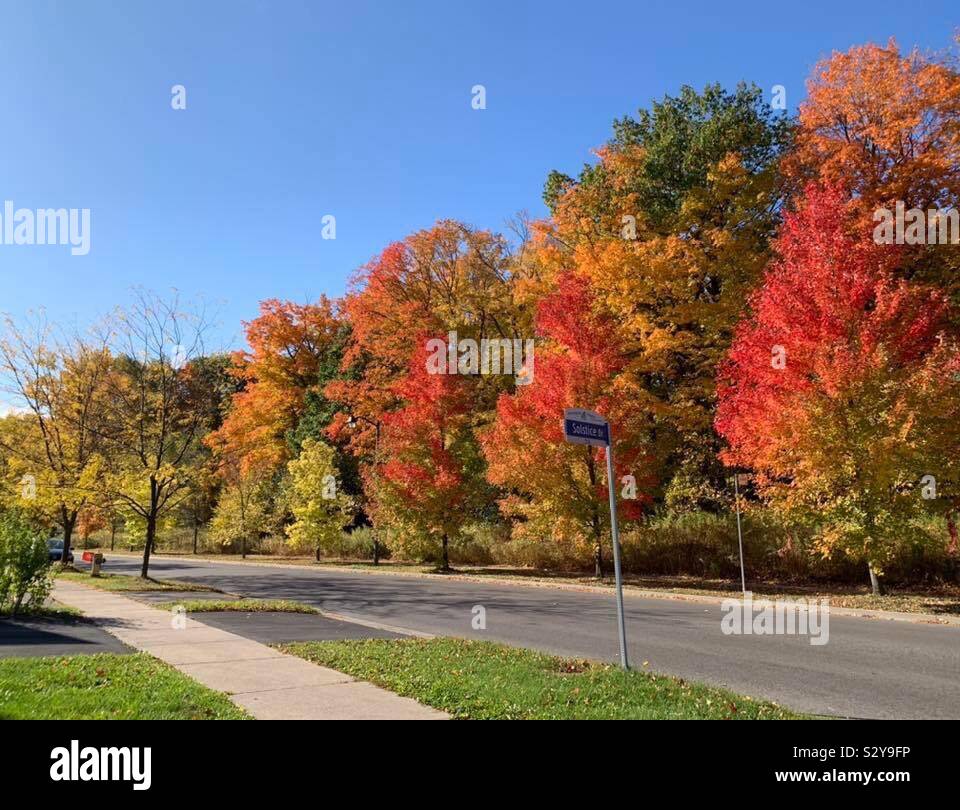 Canada i colori autunnali degli alberi Foto Stock