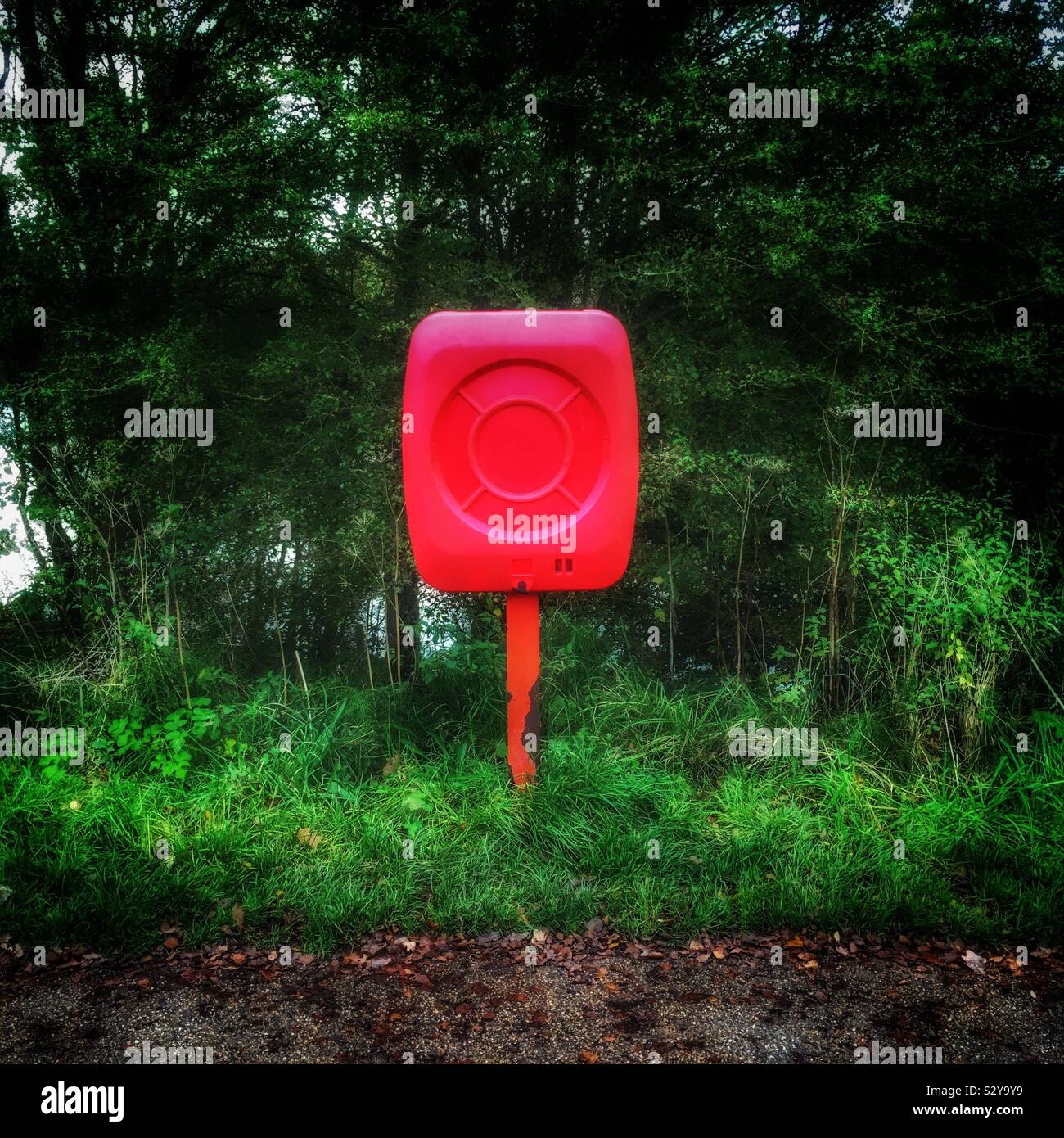 Salvagente in foresta - Immagine stock catturata con smartphone