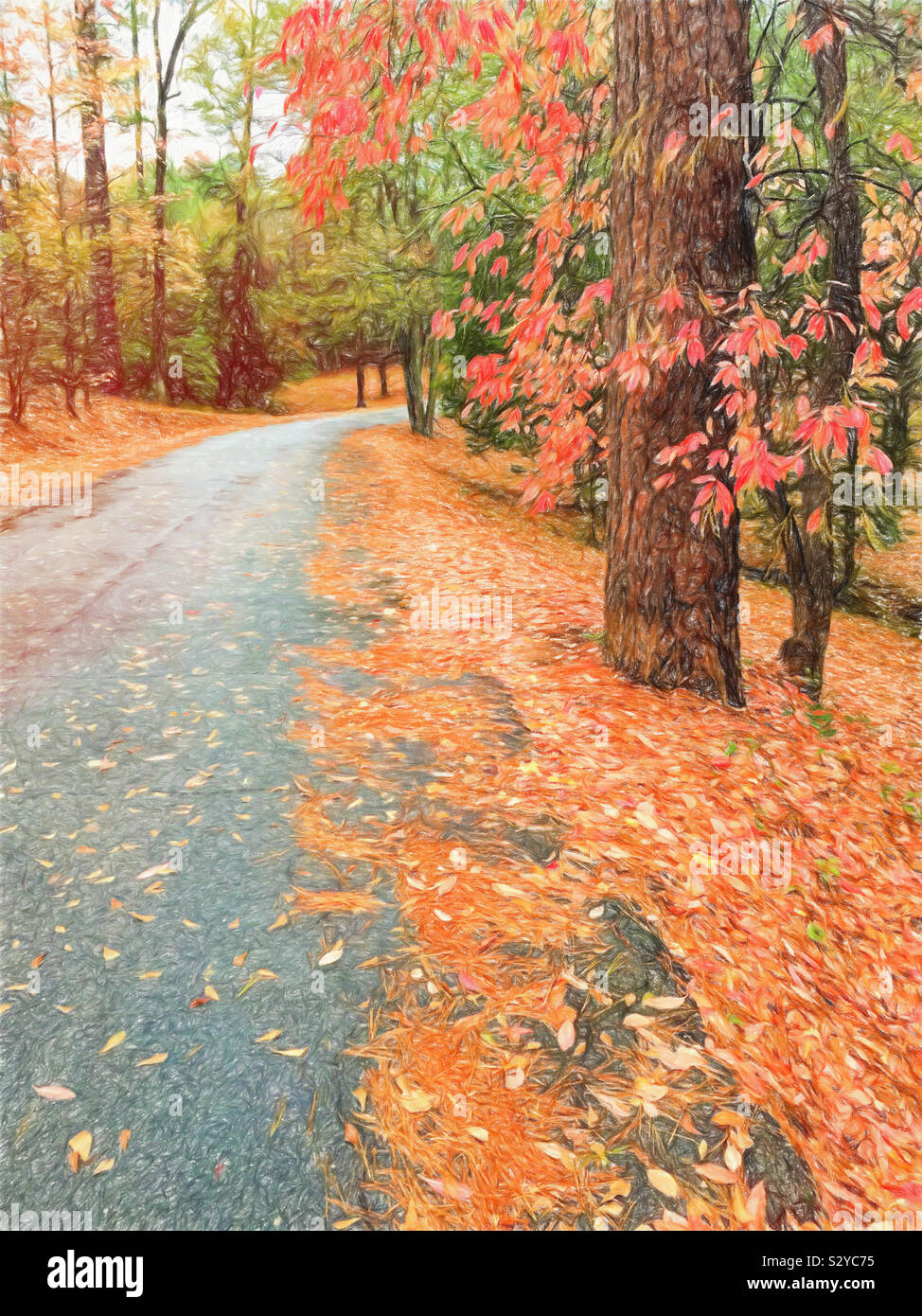 La stagione autunnale e le foglie cambiano colore lungo un lastricato sentiero escursionistico a Flat Rock Park in Columbus Georgia USA. Foto Stock