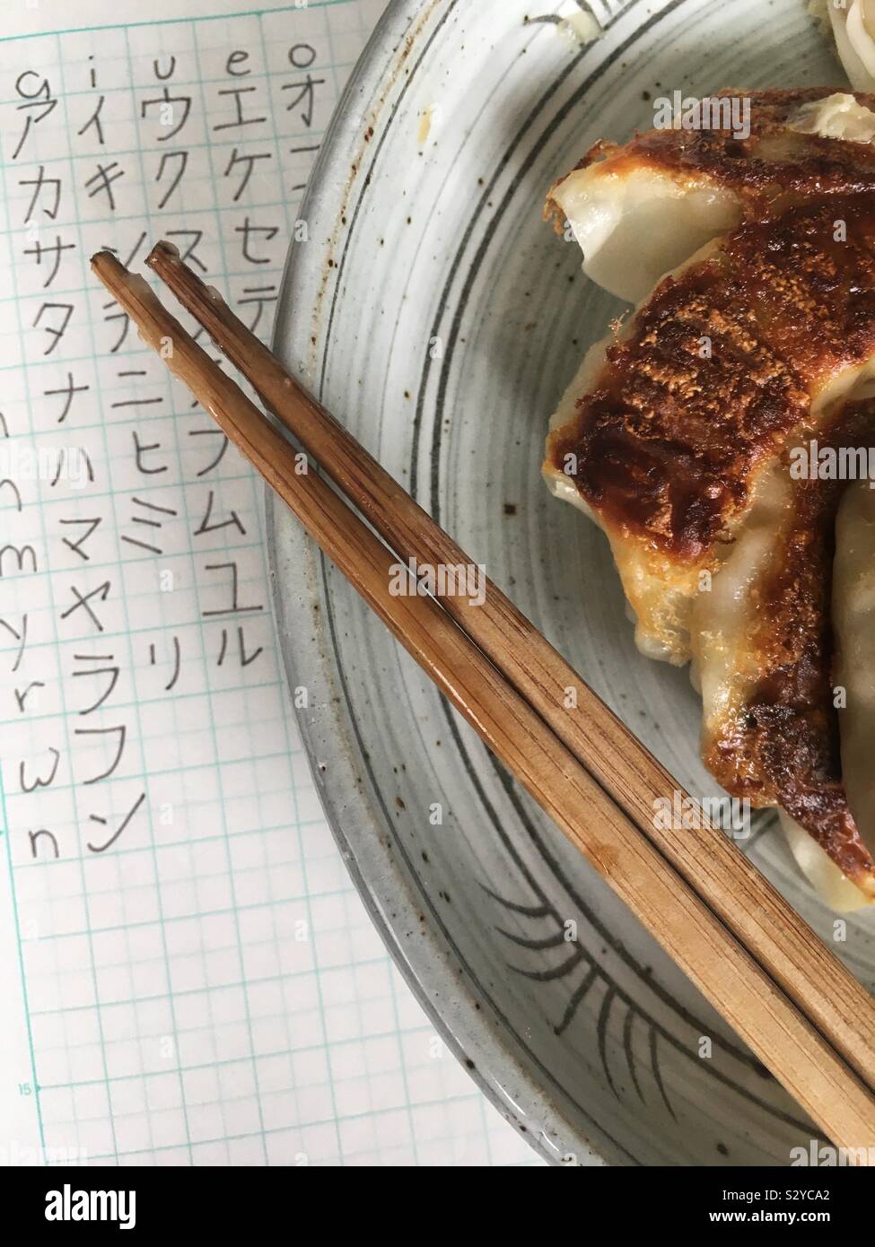 Ancora in vita: gli studenti di lingue il pranzo con un foglio di caratteri katakana pratica una lastra grigia, gyoza alla griglia e bacchette. Foto Stock