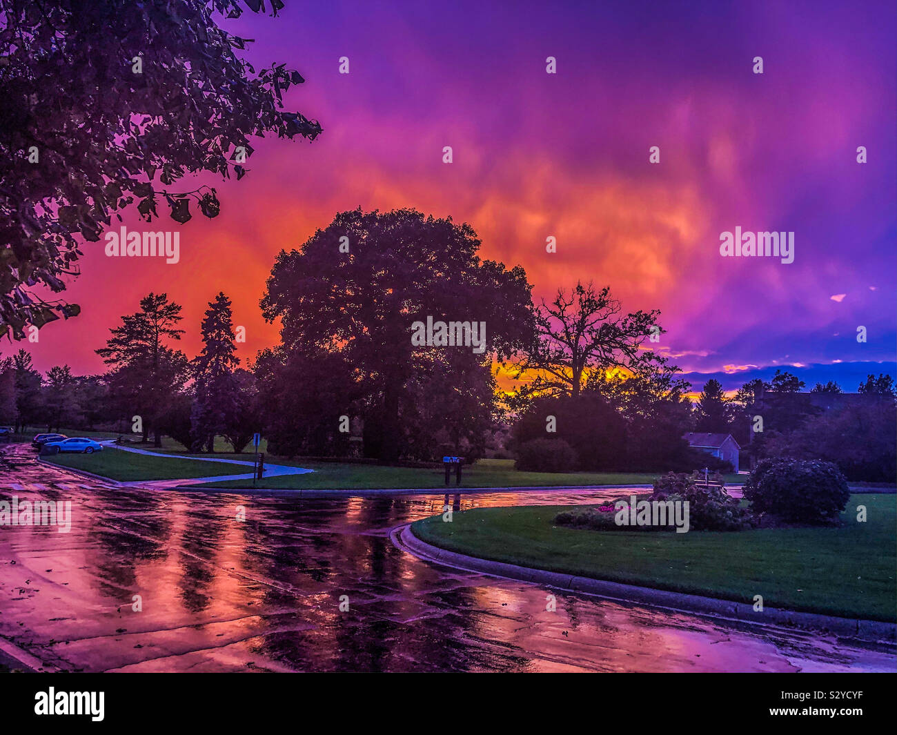 Brillante tramonto dopo un piuttosto brutta tempesta era così brillante che ha creato la silhouette di alberi. Foto Stock