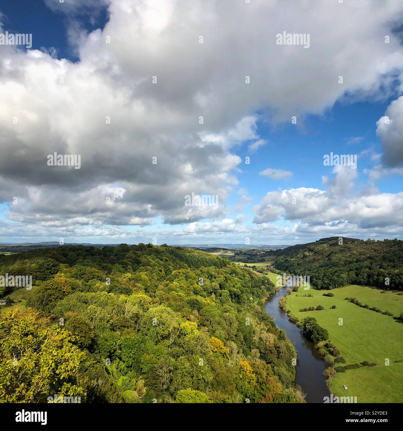 Fiume Wye serpeggianti attraverso gli accordi di Wye Valley. Vista dalla Symonds Yat Rock. Foto Stock