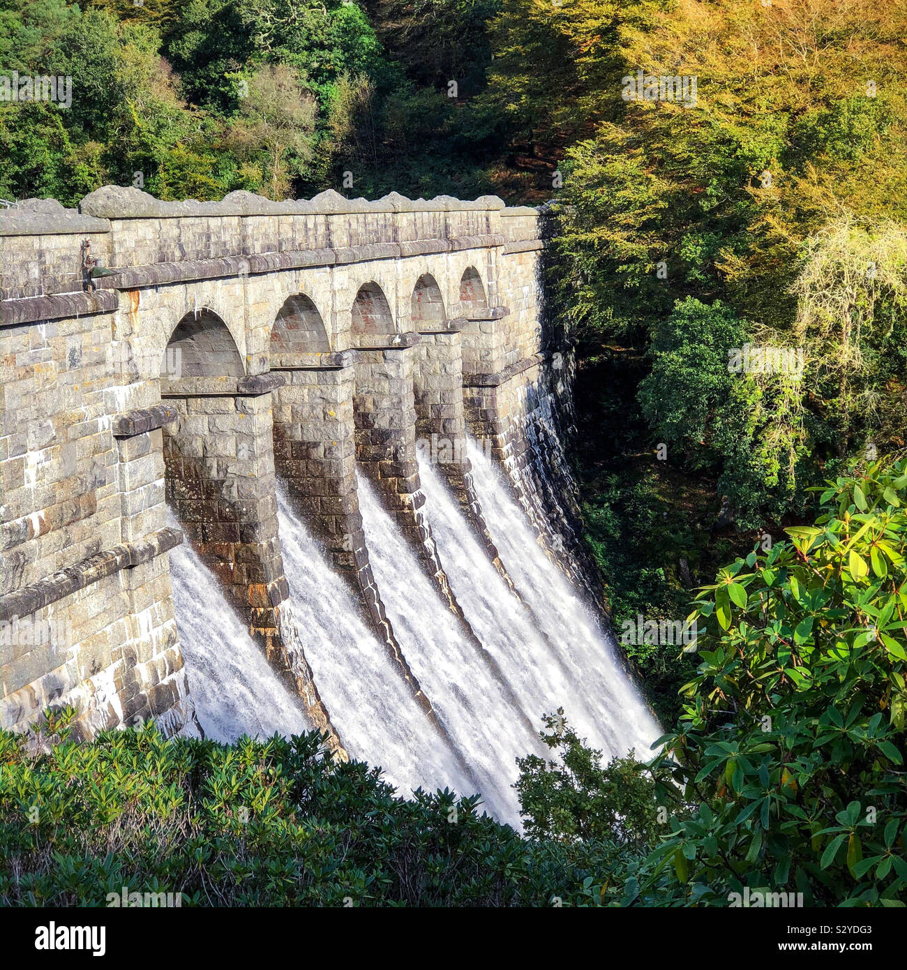 Serbatoio Burrator nel Parco Nazionale di Dartmoor Foto Stock