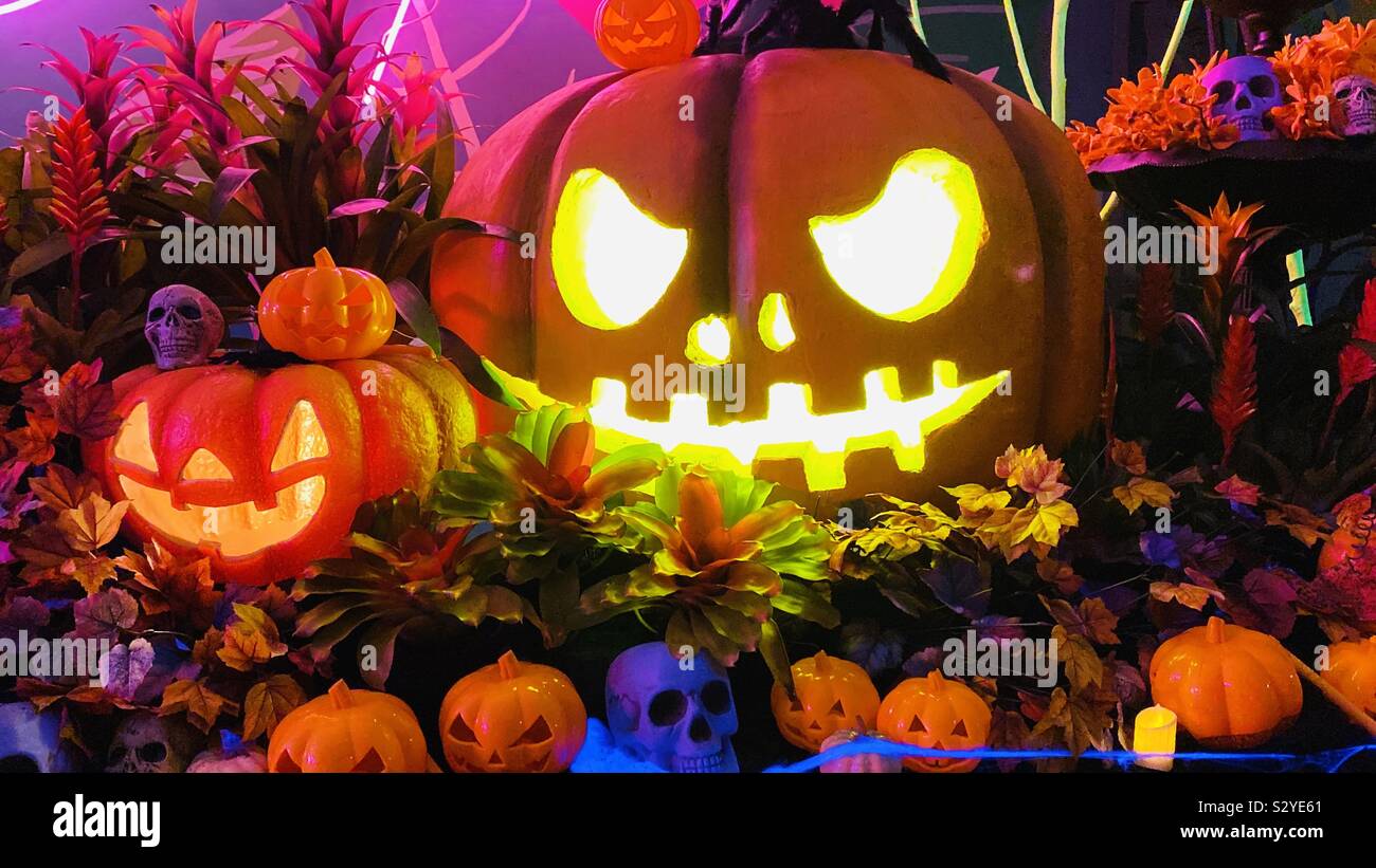 Zucche di Halloween e di teschi in colori al neon Foto Stock