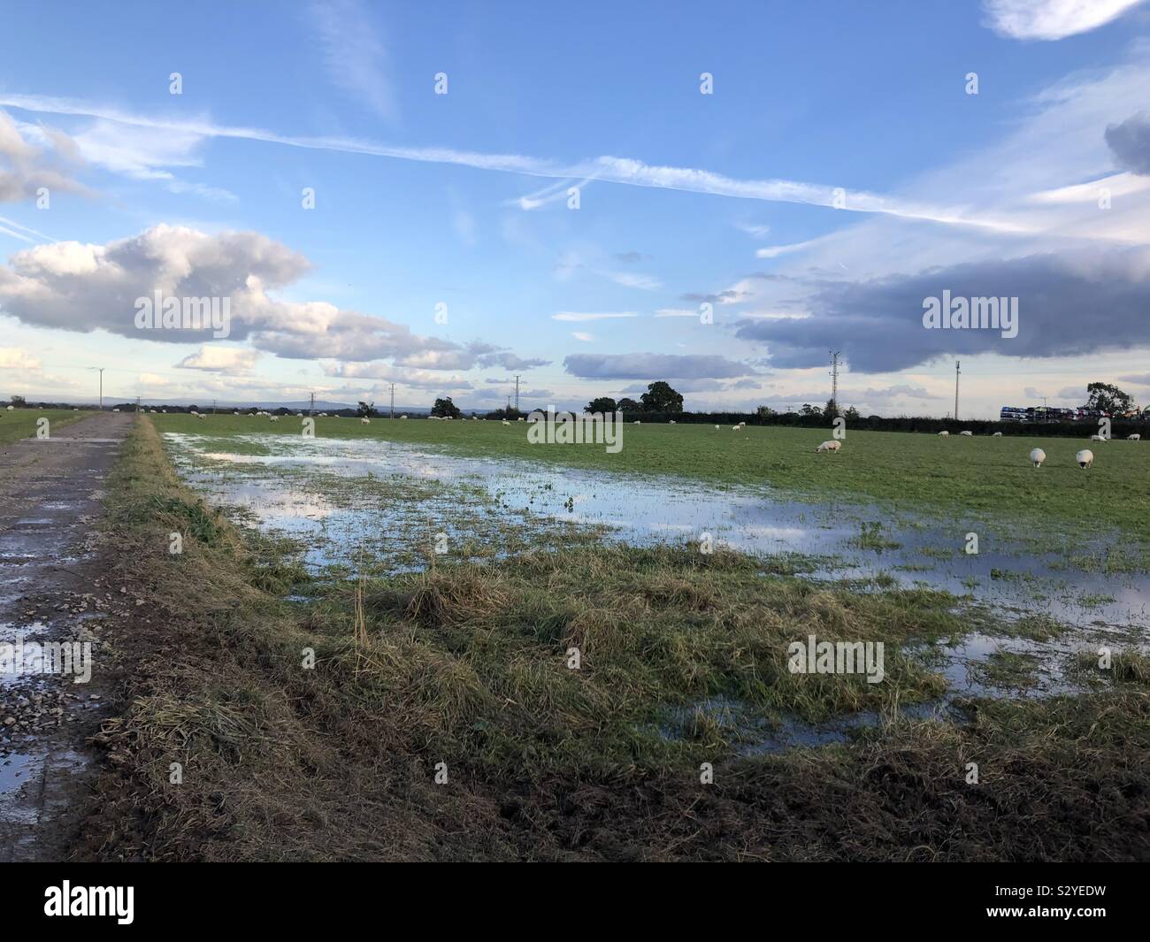 Terreni agricoli Hurleston dopo la pioggia. Foto Stock