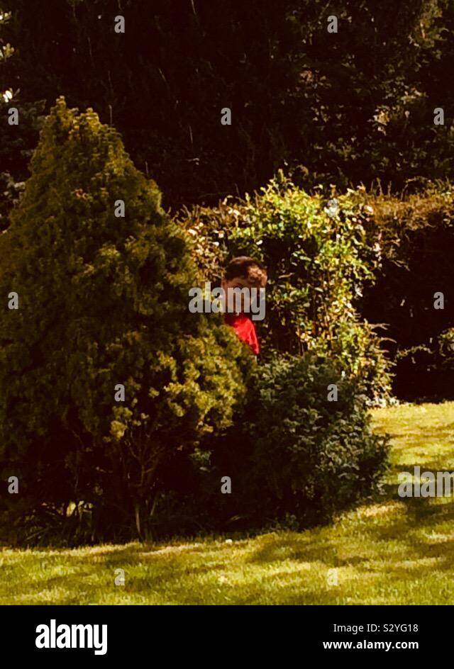 Petit garçon caché dans un buisson Foto Stock