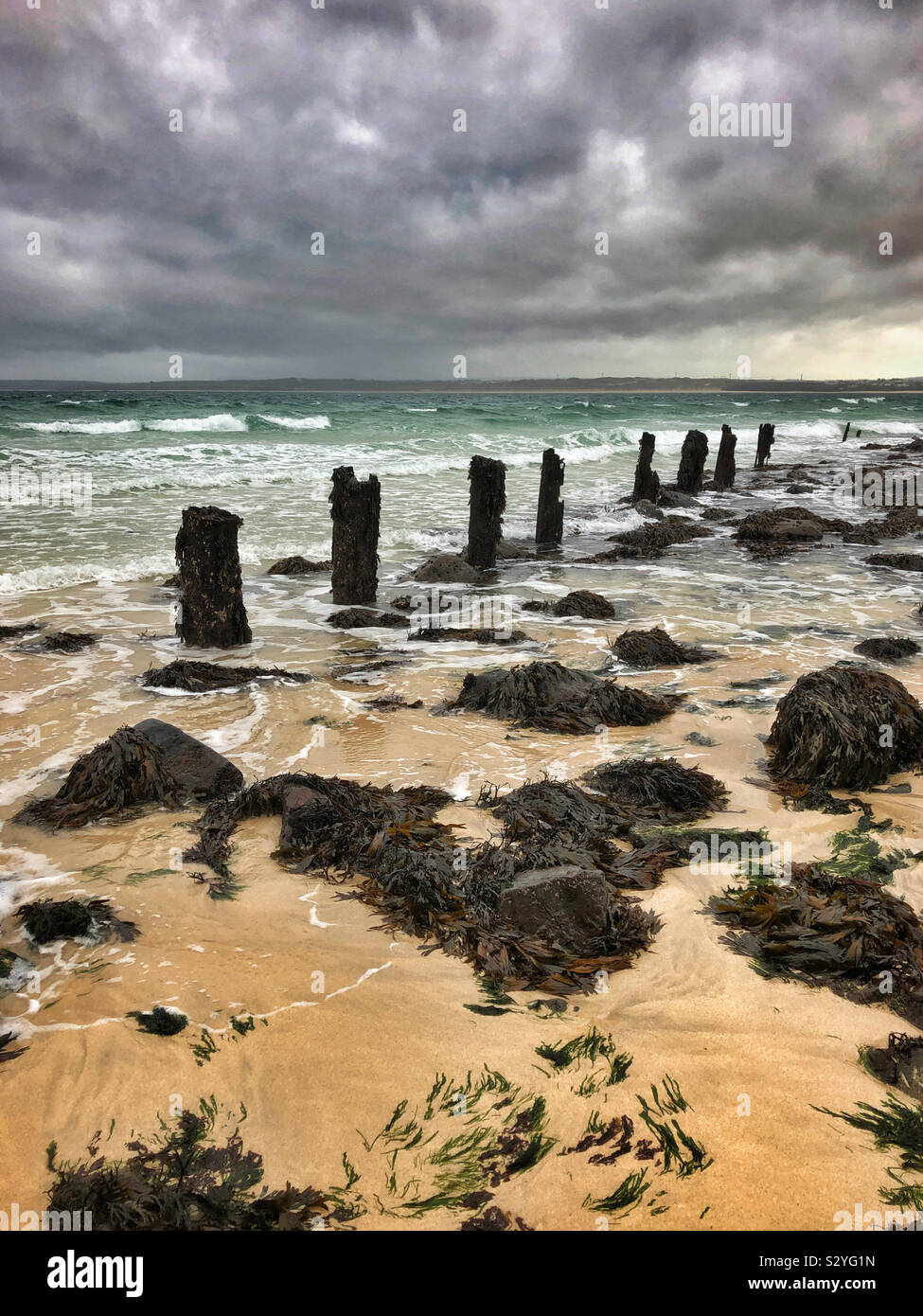 Vecchi posti di legno su una spiaggia con la bassa marea, St Ives, Cornwall, Ottobre. Foto Stock