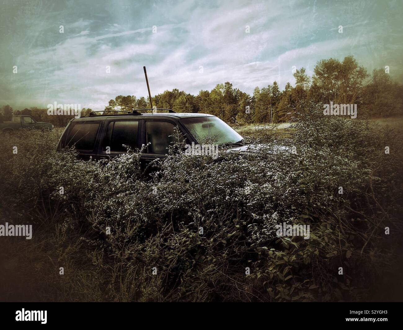 Effetto grunge su fall foto del SUV verde circondato da blooming Frost Astors in North Carolina campo - Immagine stock catturata con smartphone
