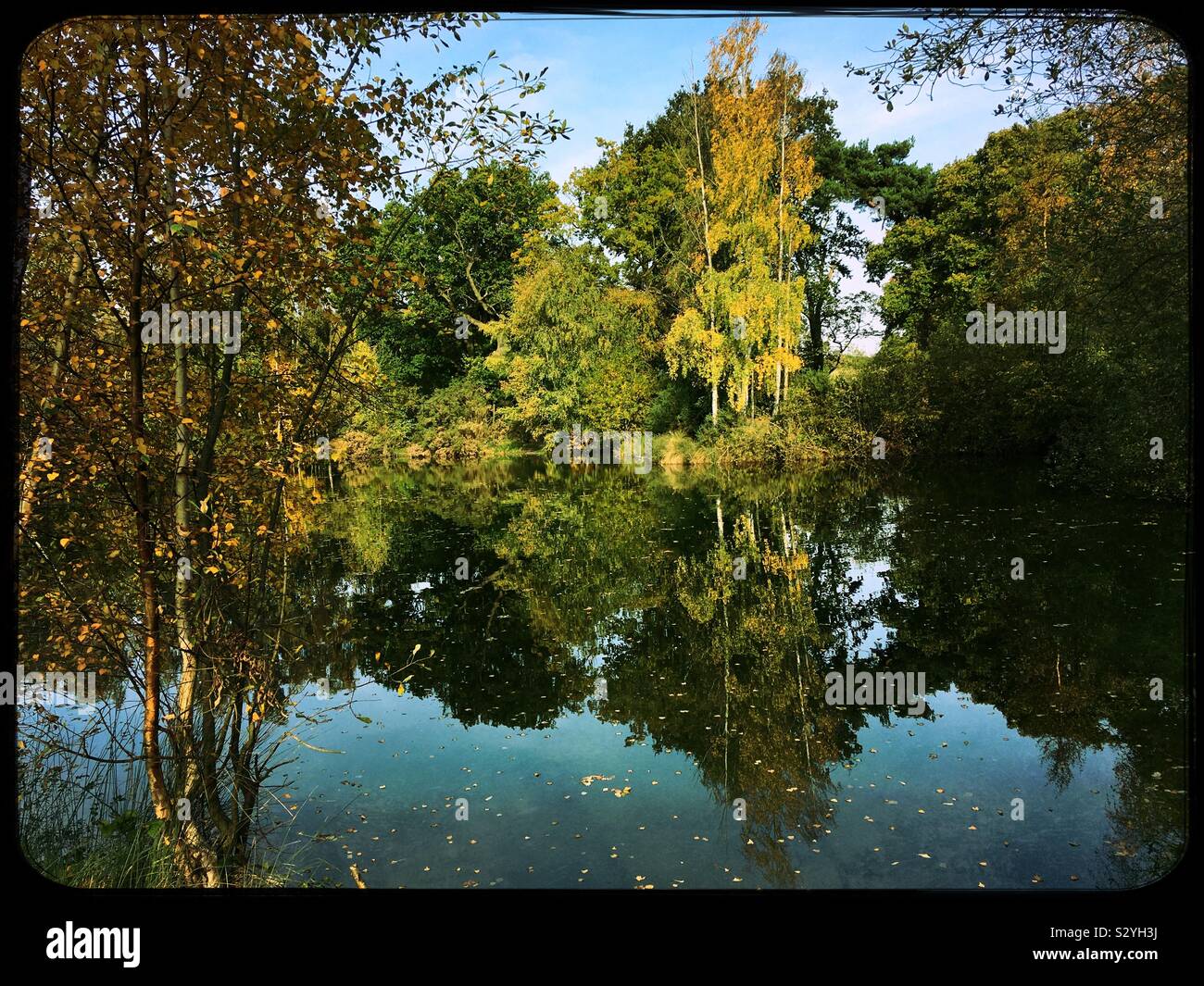 Riflessioni autunnali in un lago. Acque di bosco, Ancaster, Lincolnshire, Regno Unito. Foto Stock
