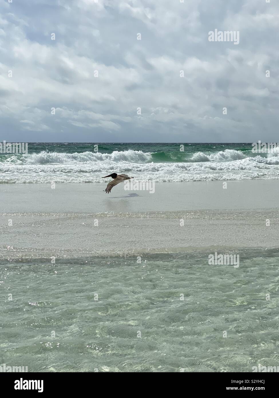 Seascape con un pellicano volando a bassa quota sopra l'acqua dell'oceano closeup Foto Stock