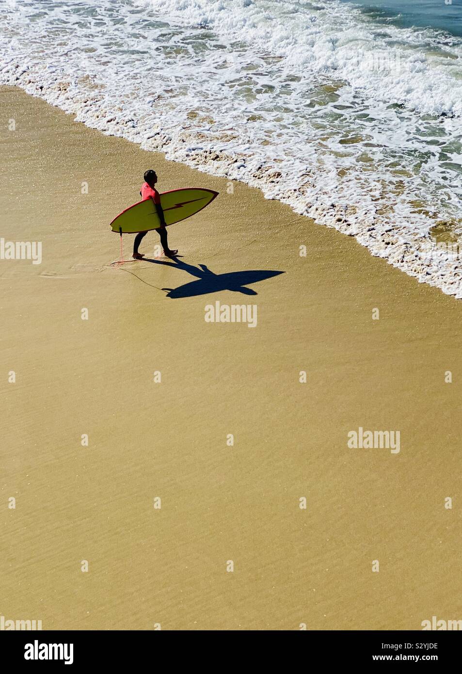 Surfista maschio a piedi in surf. Manhattan Beach, California, Stati Uniti d'America. Foto Stock