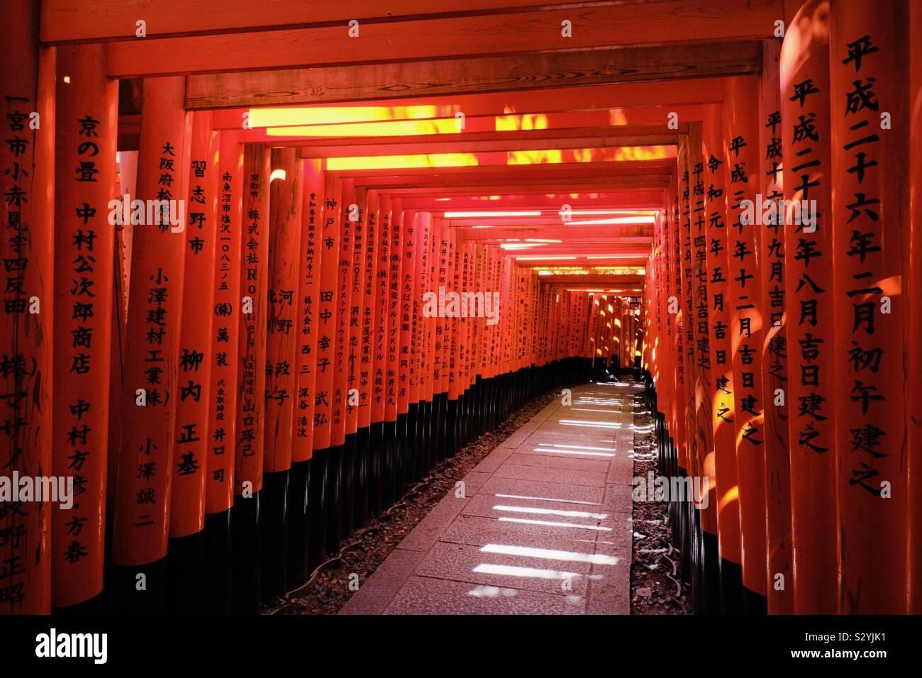 Rosso vermiglio Torii gates a Fushimi Inari shrine in Kyoto, Giappone. Foto Stock