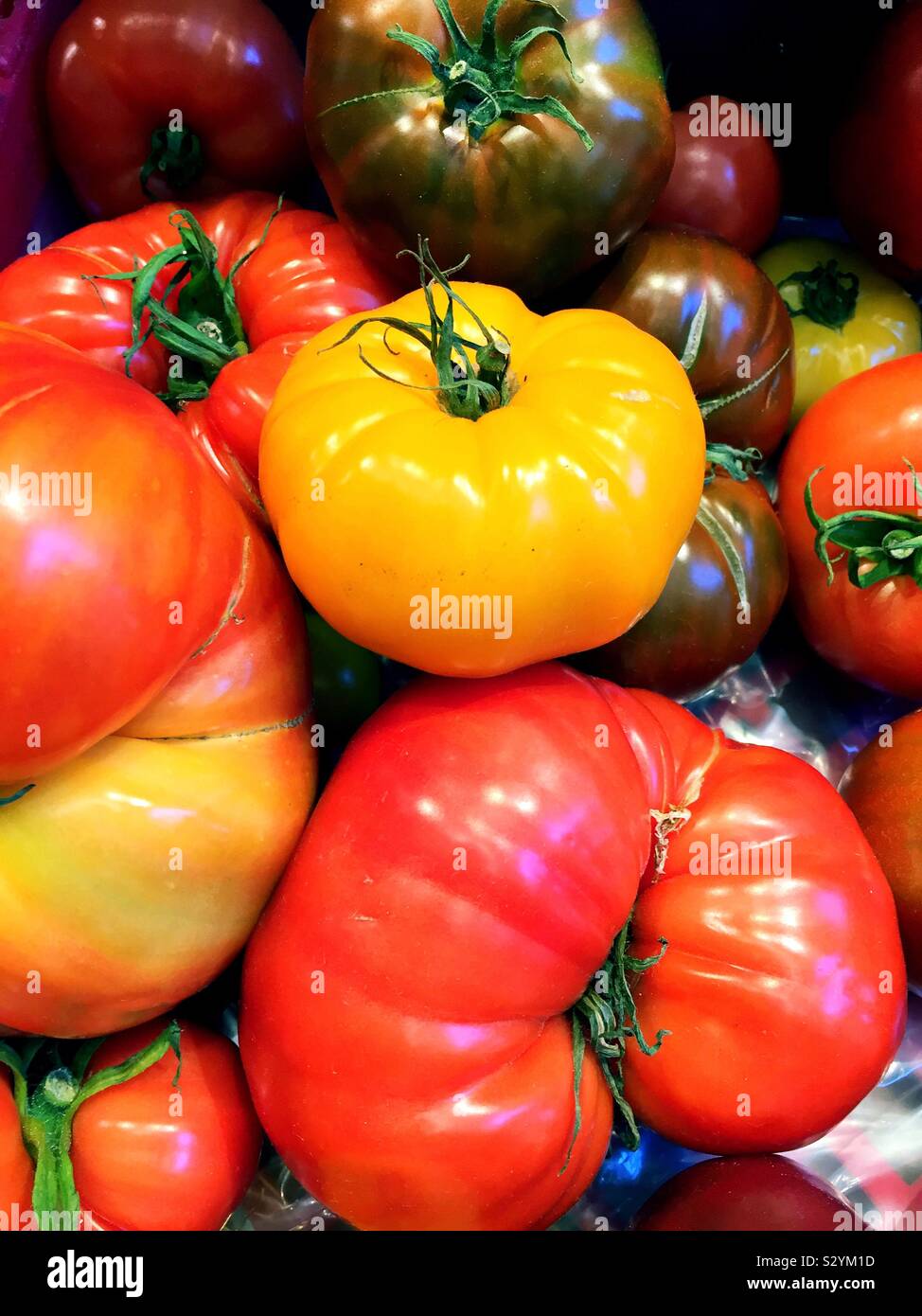 Close up di coloratissimi cimelio di pomodori nel produrre corsia di un negozio di alimentari, STATI UNITI D'AMERICA - Immagine stock catturata con smartphone