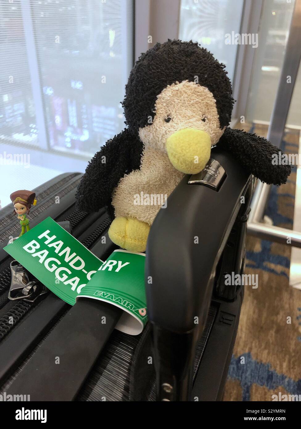 Piccolo Pinguino pronto per andare in vacanza. Foto Stock
