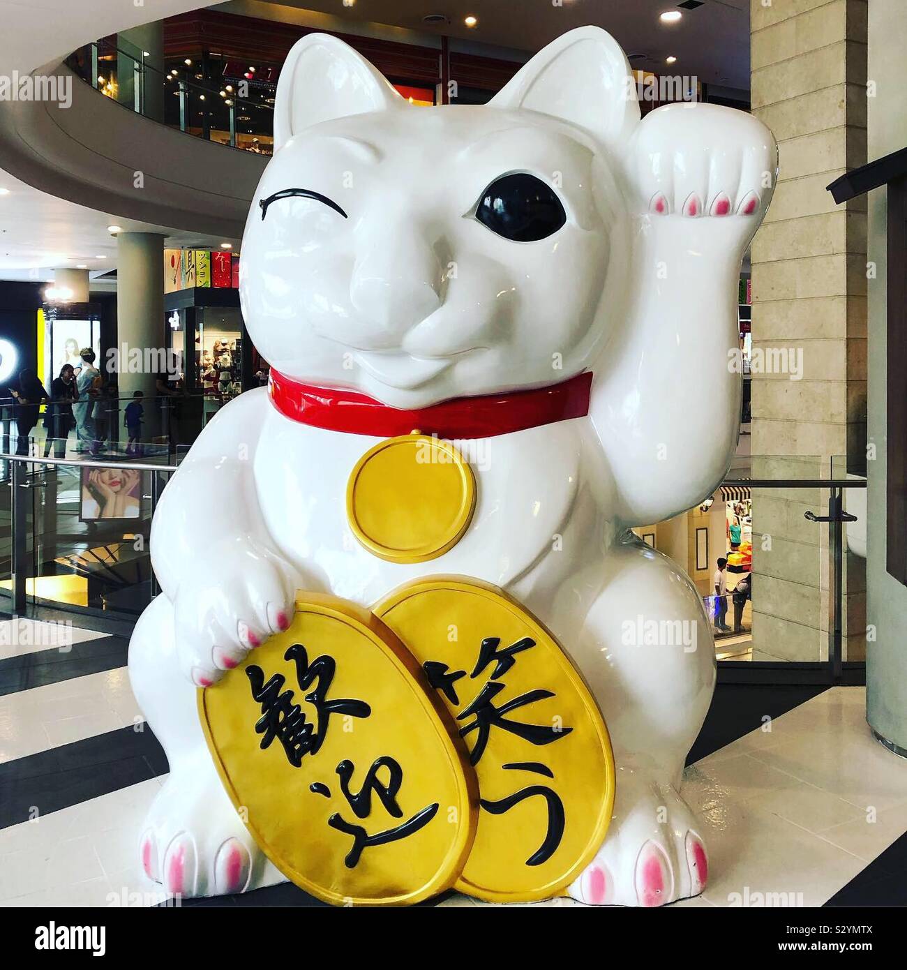 Una grande statua di un bianco lucido cat holding oro monete colorate con scrittura cinese in un centro commerciale di Bangkok, Tailandia. Foto Stock