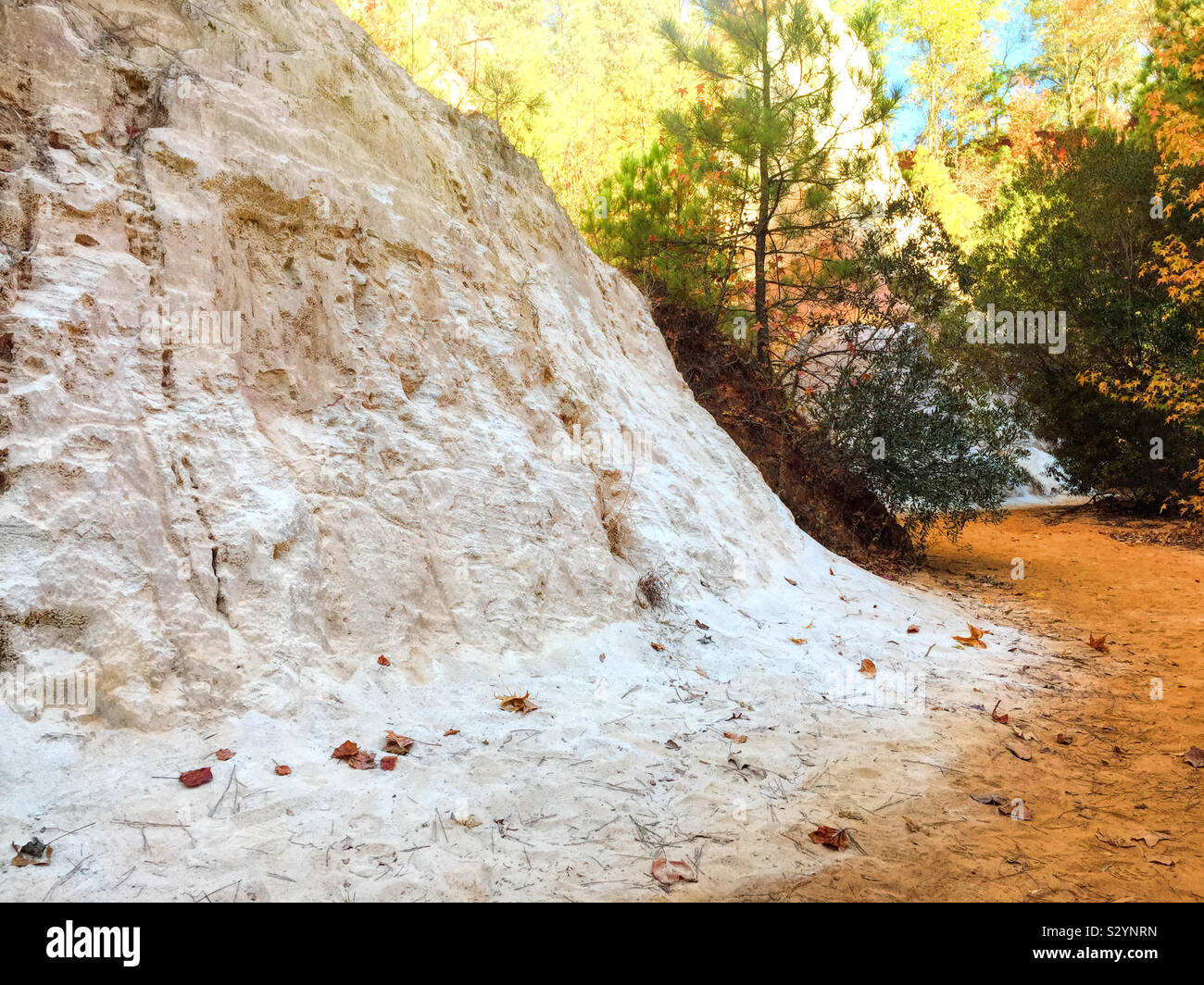 Collina esposta sul piano del canyon a Providence Canyon in Lumpkin Georgia USA mostra erosione del suolo nel corso di milioni di anni. Noto anche come piccolo Grand Canyon. Foto Stock