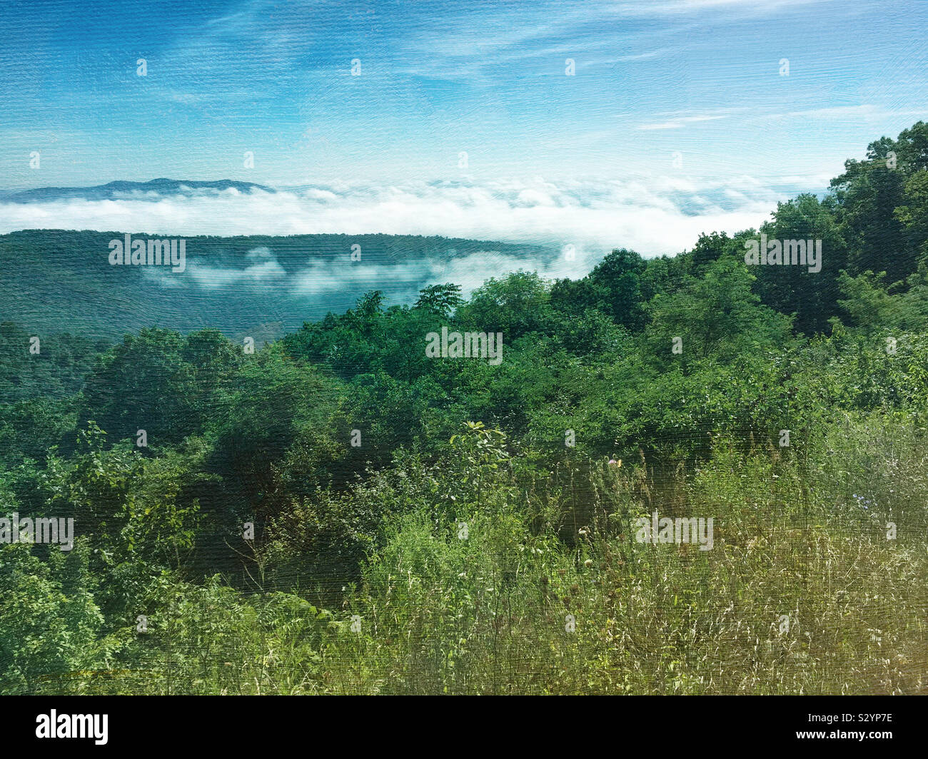 Durante la stagione estiva il paesaggio veduta panoramica della Appalachian Range di montagna nel Parco Nazionale di Shenandoah Virginia STATI UNITI D'AMERICA. Questa immagine ha una texture pittorica di effetto. Foto Stock