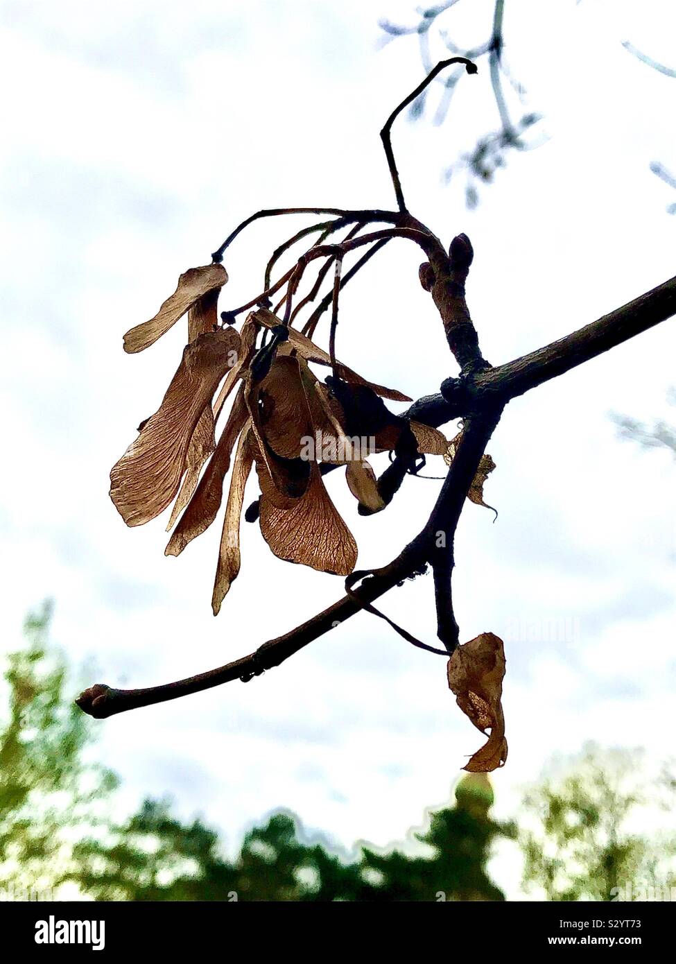 Autunnale Foto Stock