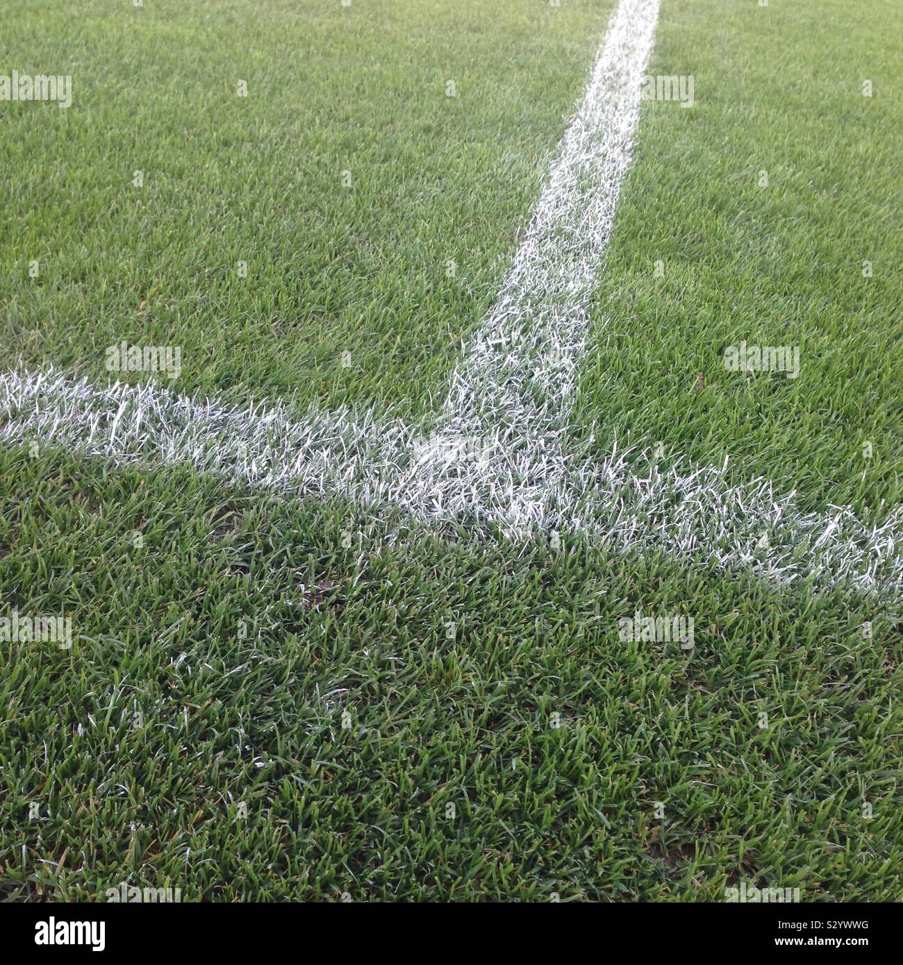 Campo di calcio iscrizioni Foto Stock