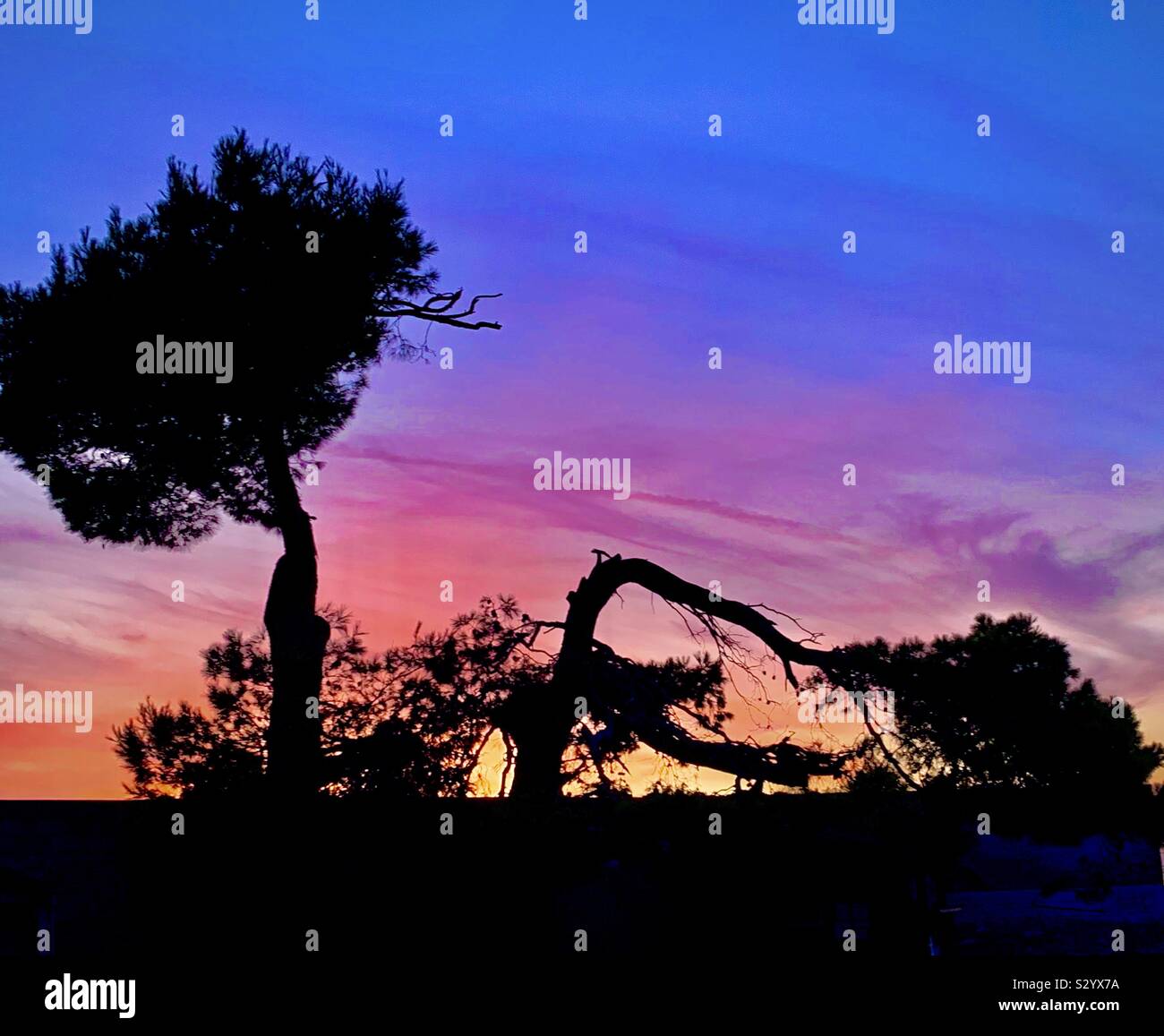 Sagome e tramonti Foto Stock